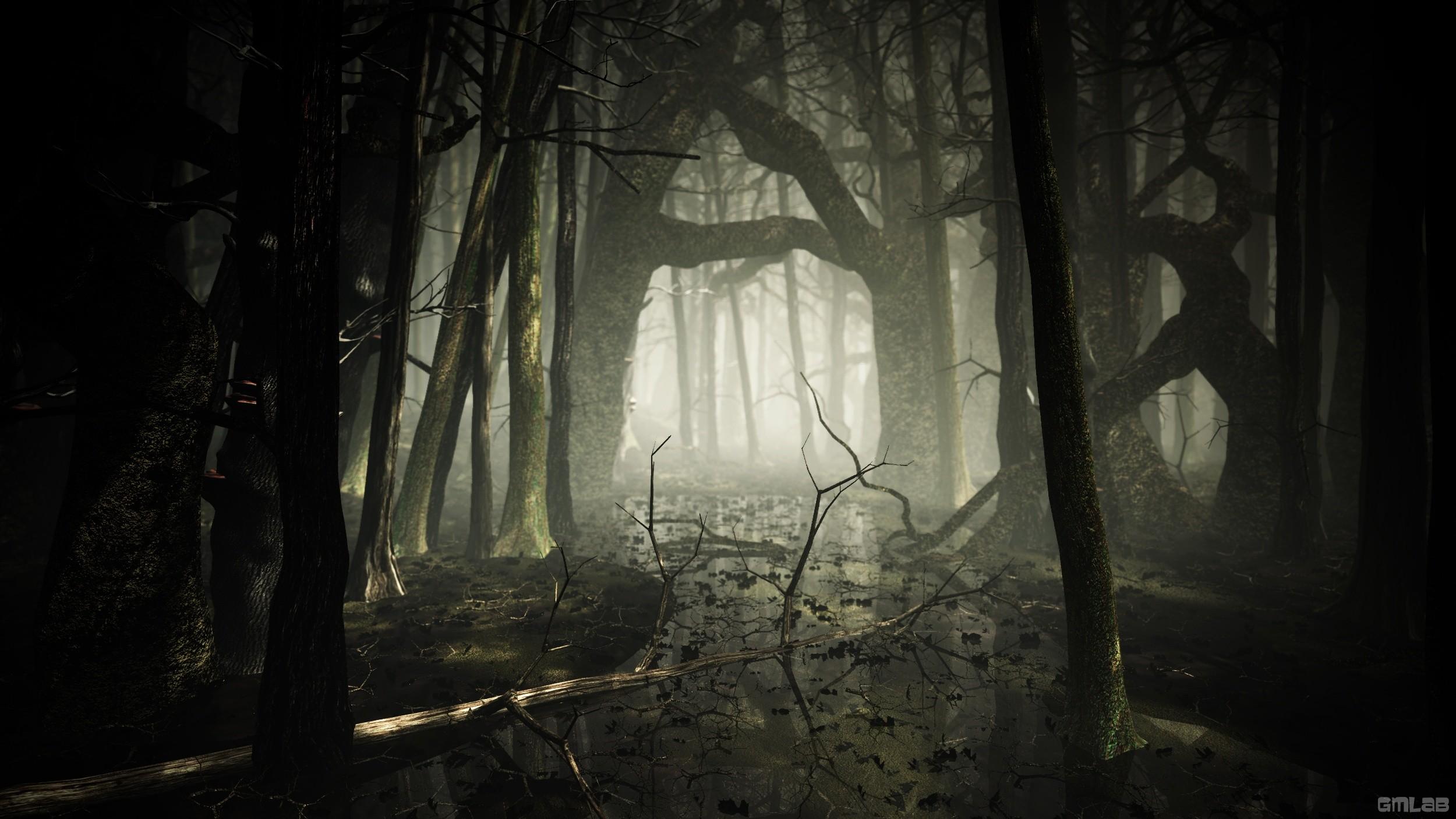 2500x1406 Foggy Forest