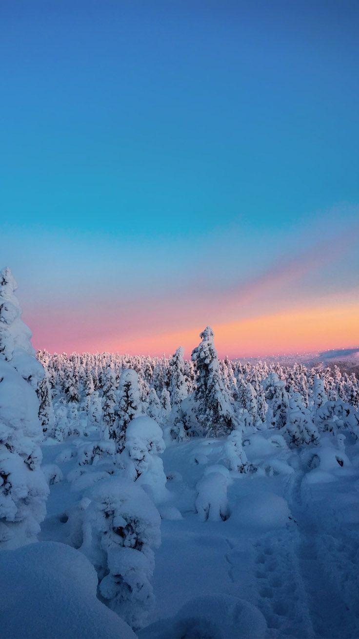 736x1308 Winter Wallpaper