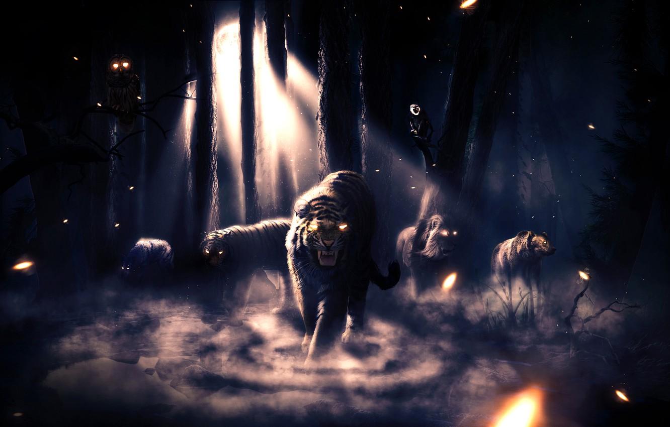 1332x850 Photo Wallpaper Forest, Animals, Night, Tiger, Fog, Forest Background