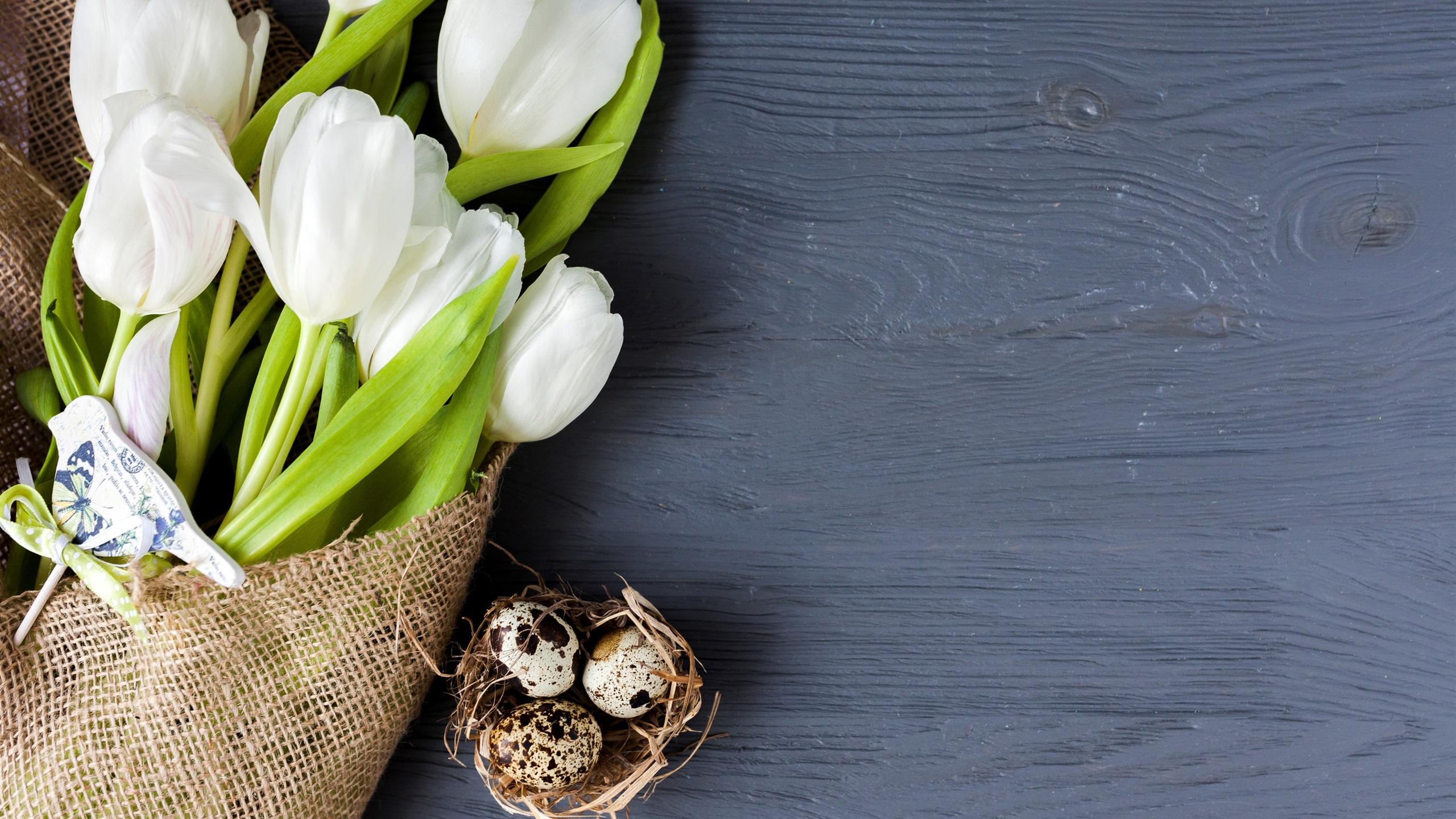 2560x1440 Wallpaper White tulips, eggs 3840x2160 UHD 4K Picture, Image