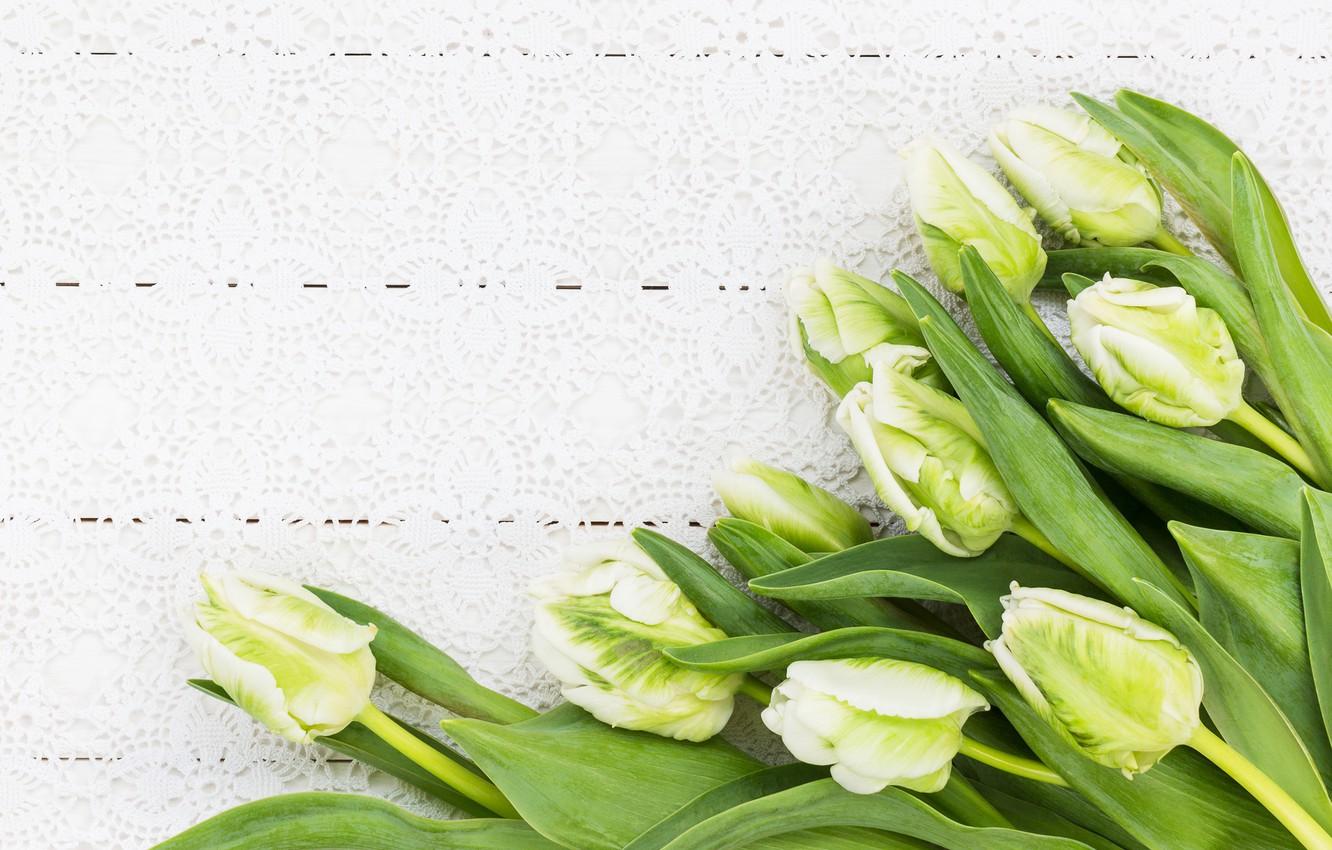 1332x850 Wallpaper flowers, bouquet, tulips, white, white, flowers, tulips image for desktop, section цветы