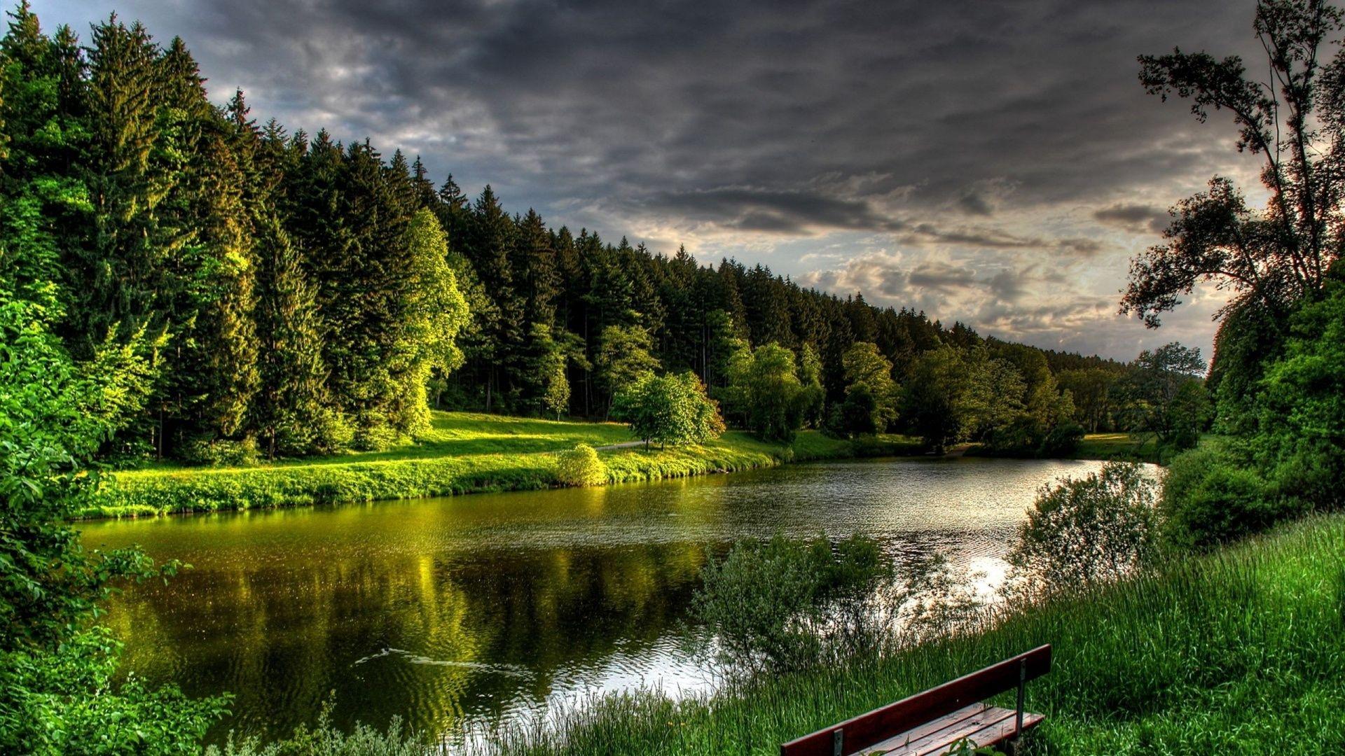 Tree 1920X1080 Wallpapers - Top Free Tree 1920X1080 Backgrounds - WallpaperAccess Tree 1920X1080 Wallpapers - Top Free Tree 1920X1080 Backgrounds - WallpaperAccess