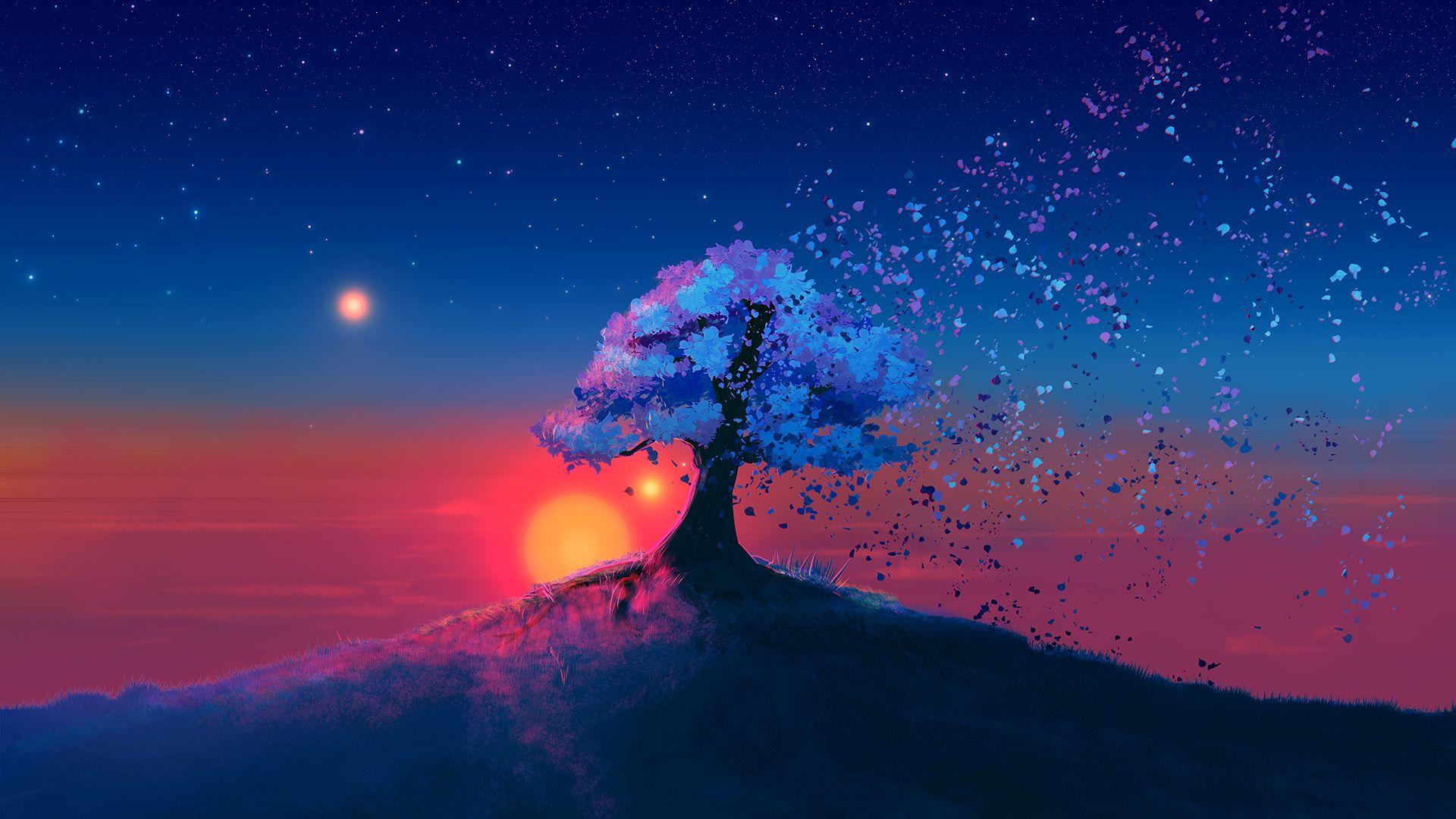 1920x1080 Wallpaper