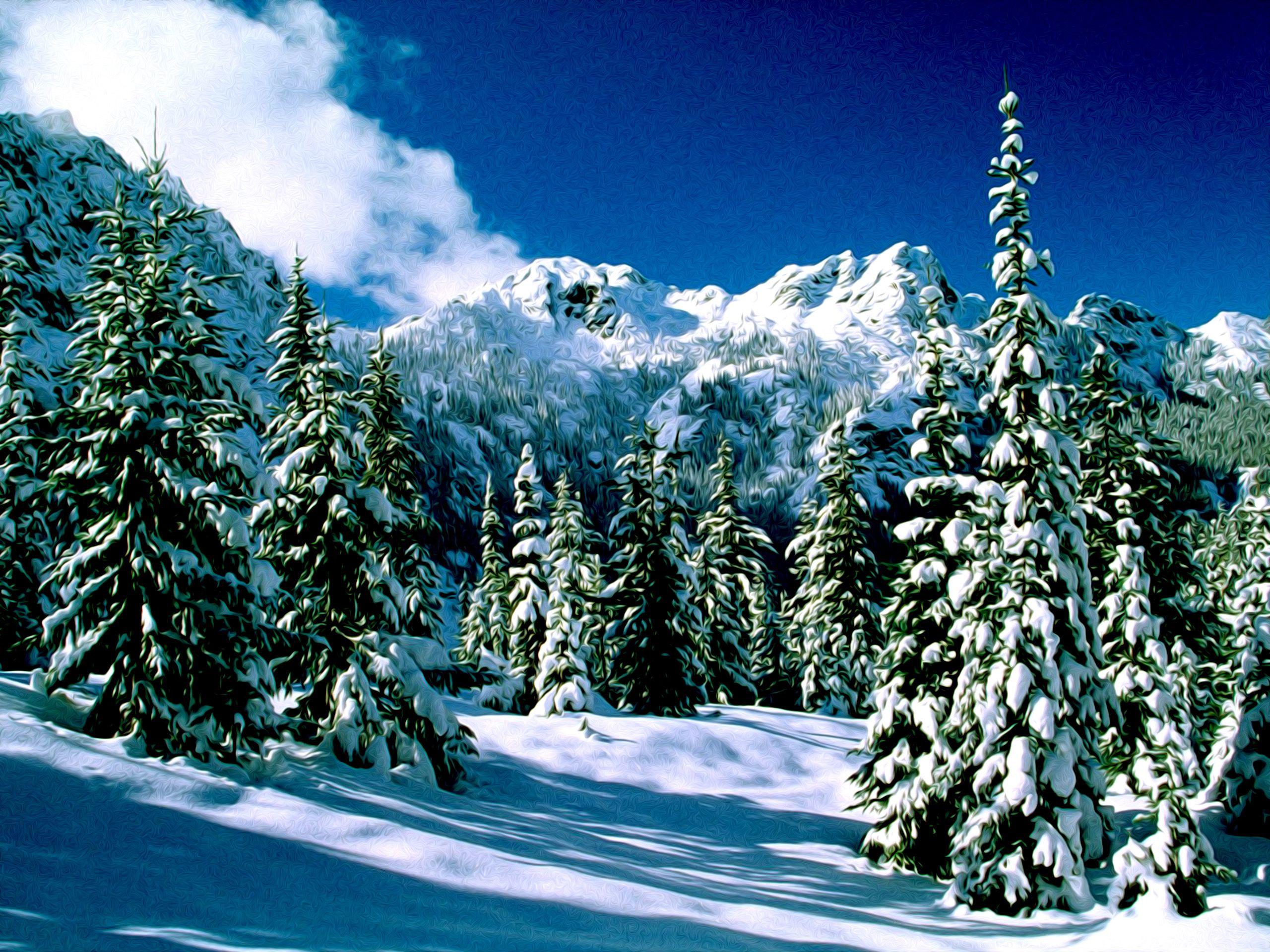 2560x1920 Desktop Snow Scenes Wallpaper