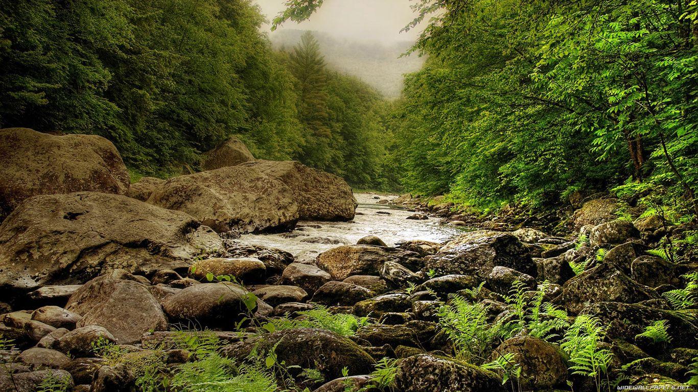 1366x768 Smell the fresh air?. HD nature wallpaper, Beautiful mountains, Nature wallpaper