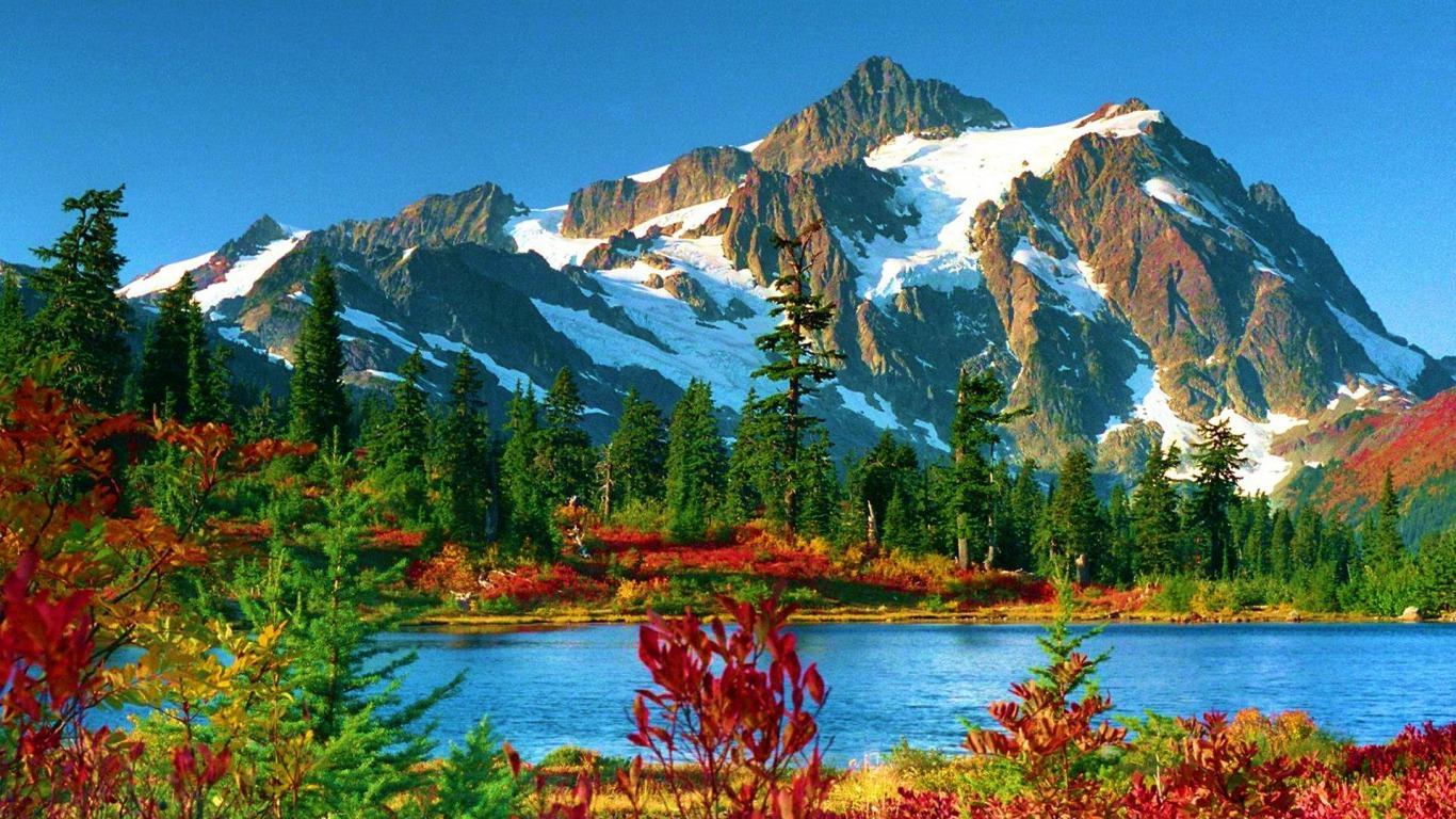 1366x768 Magnificent! Wallpaper and Background Imagex768