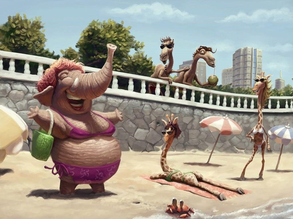 1024x768 Desktop Wallpaper · Gallery · Humor · Beach Funny Wallpaper. Desktop Background