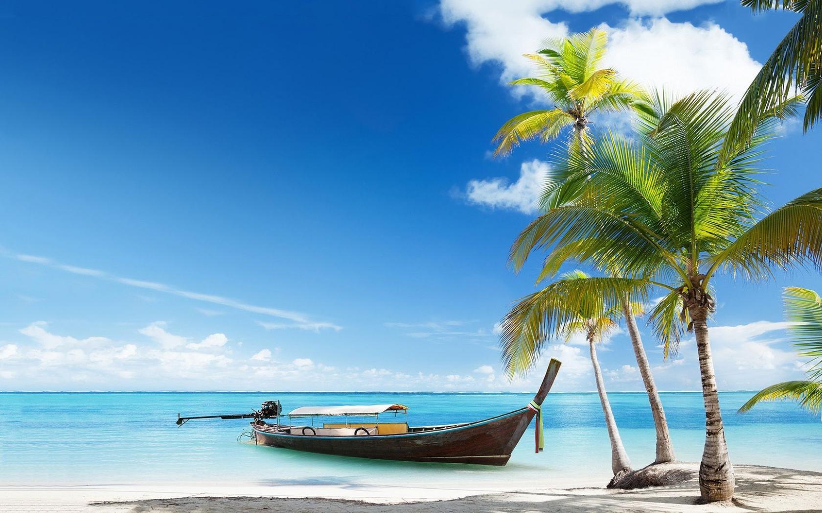 Funny Beach Wallpapers - Top Free Funny Beach Backgrounds - WallpaperAccess