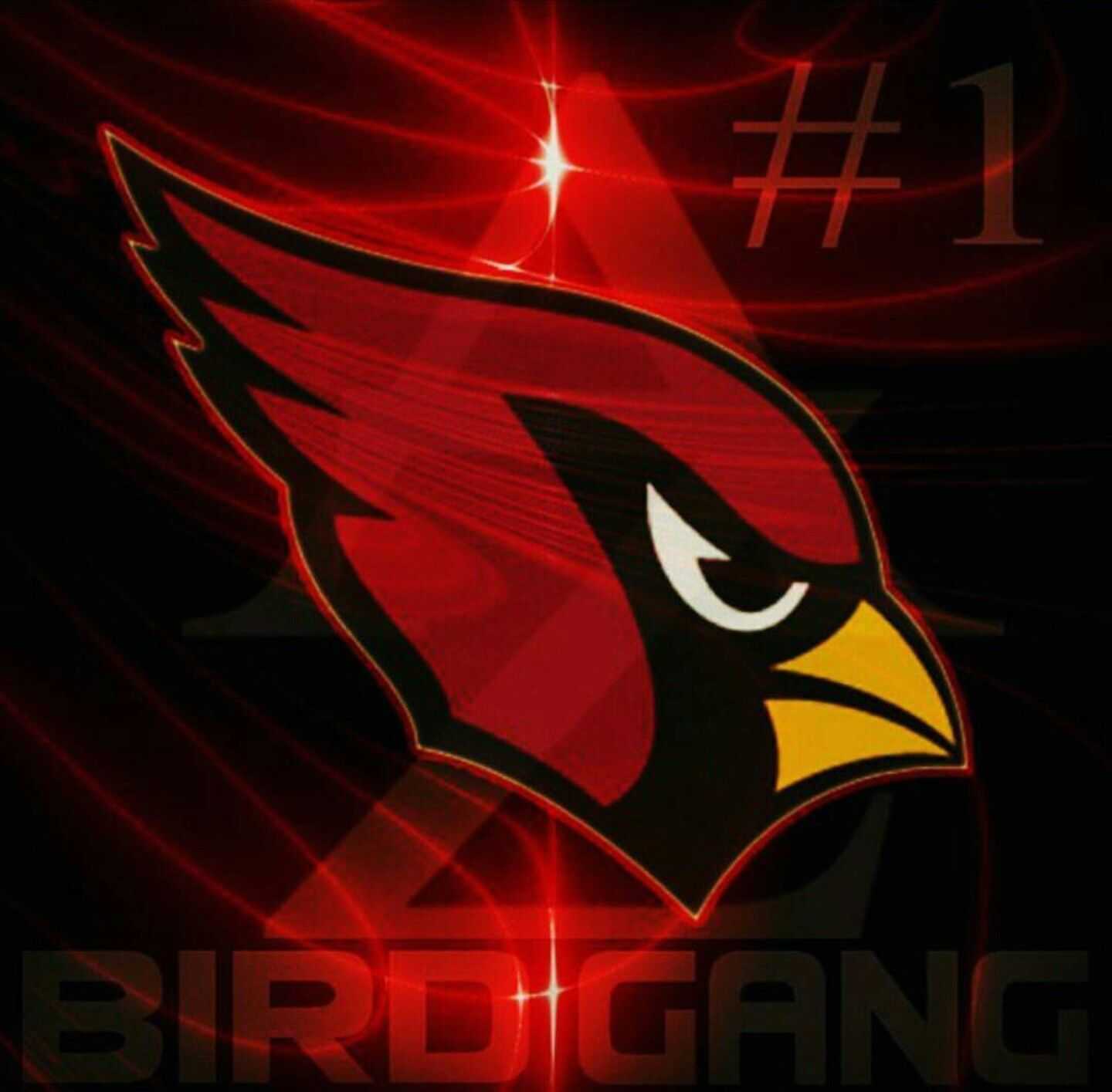 1440x1415 Arizona Cardinals Wallpaper