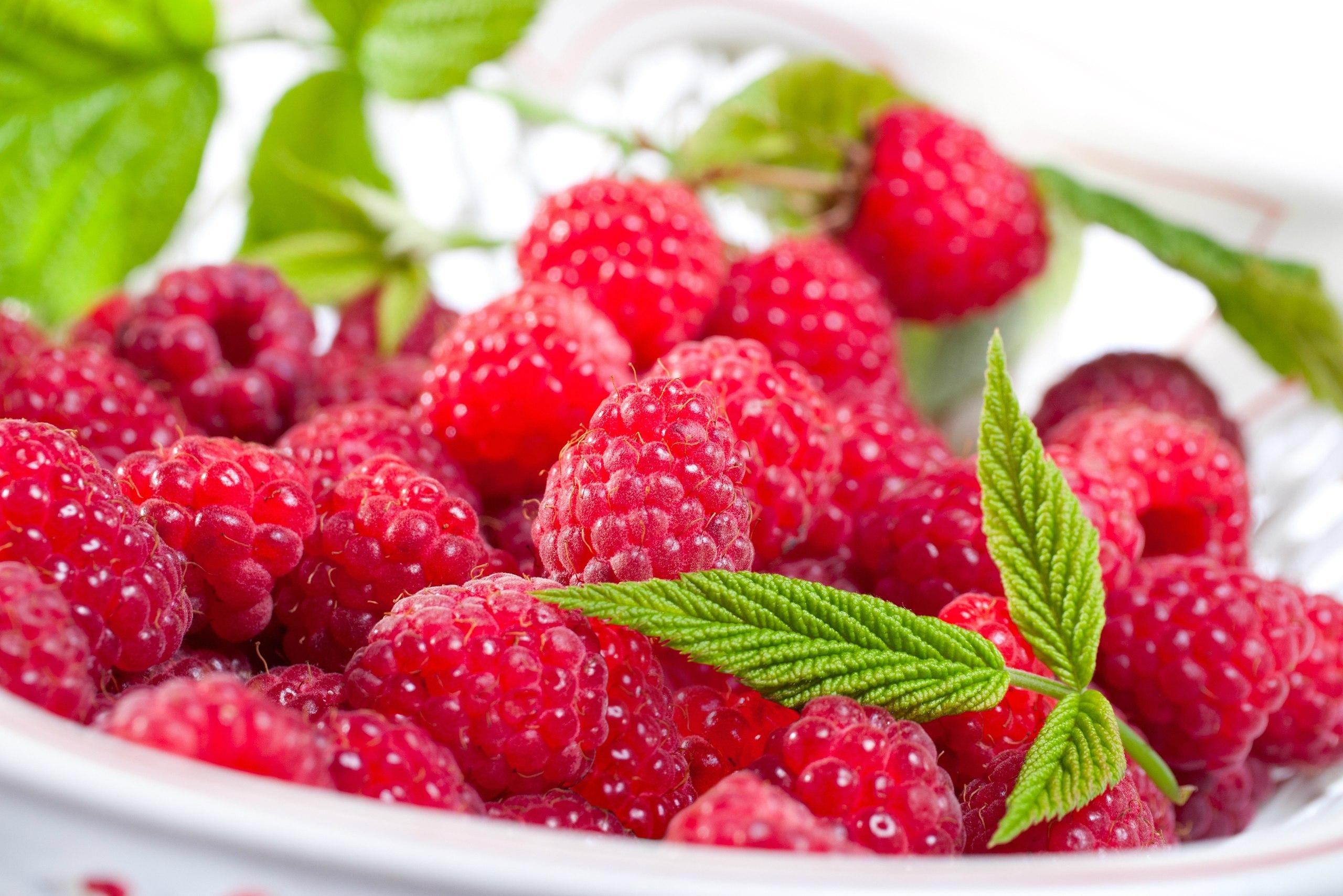 2560x1708 Food And Drink Wallpaper Design. Food Wallpaper Free Download