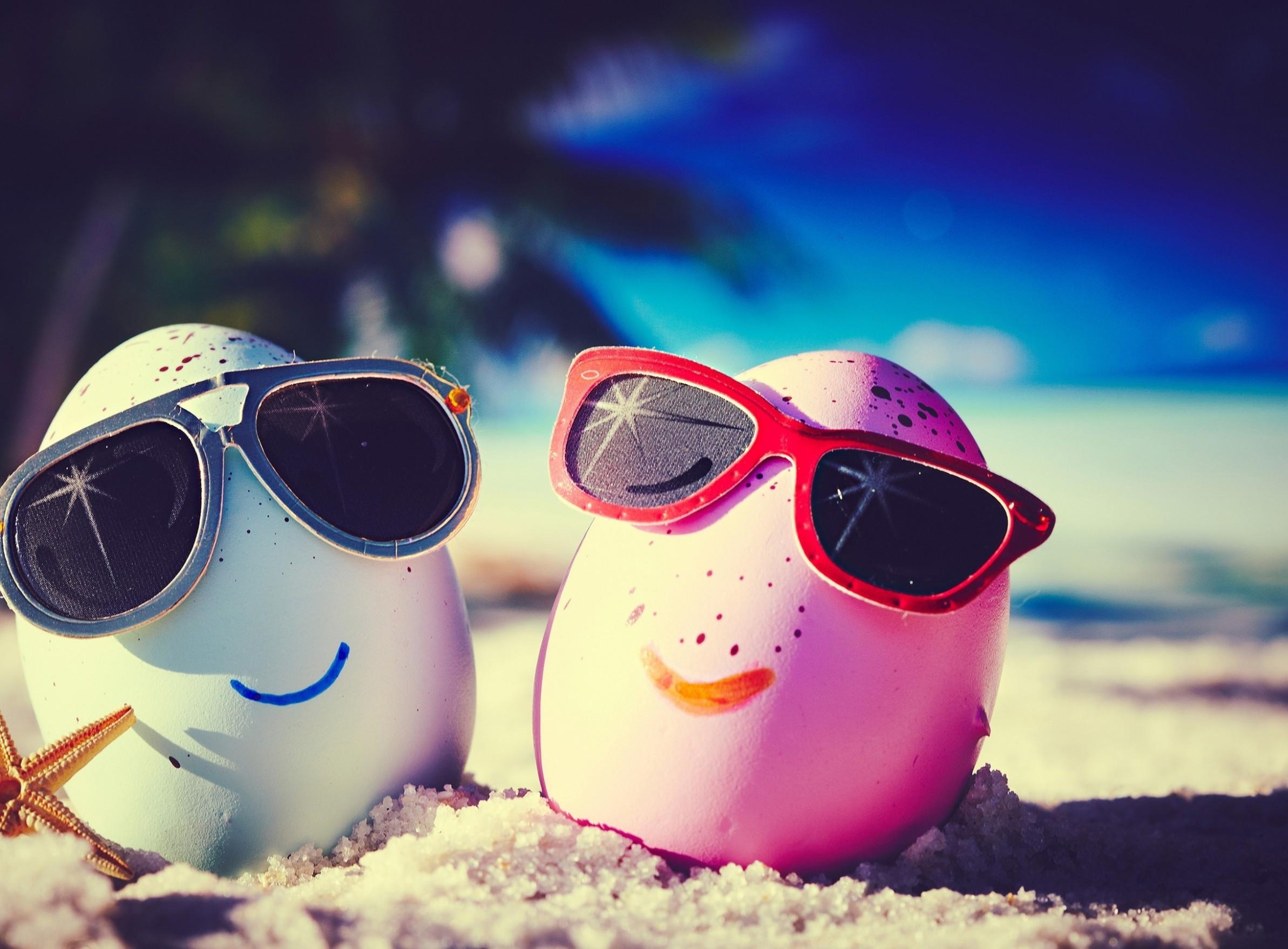 Funny Beach Wallpapers - Top Free Funny Beach Backgrounds - WallpaperAccess