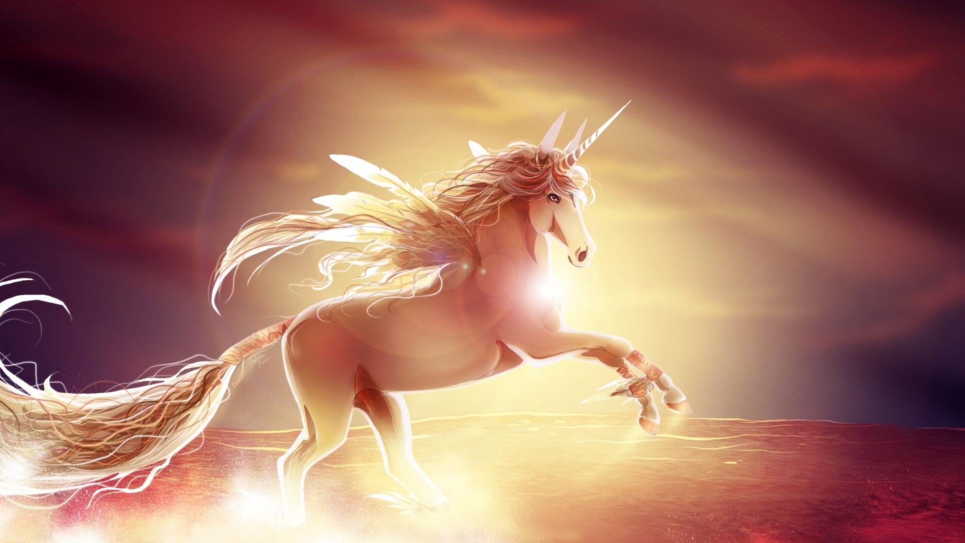 1920x1080 Free download Unicorn Wallpaper HD [1920x1200] for your Desktop, Mobile & Tablet. Explore Free Unicorn Wallpaper. Unicorn Pics Wallpaper, Free Unicorn Wallpaper, Free Unicorn Wallpaper for Laptops