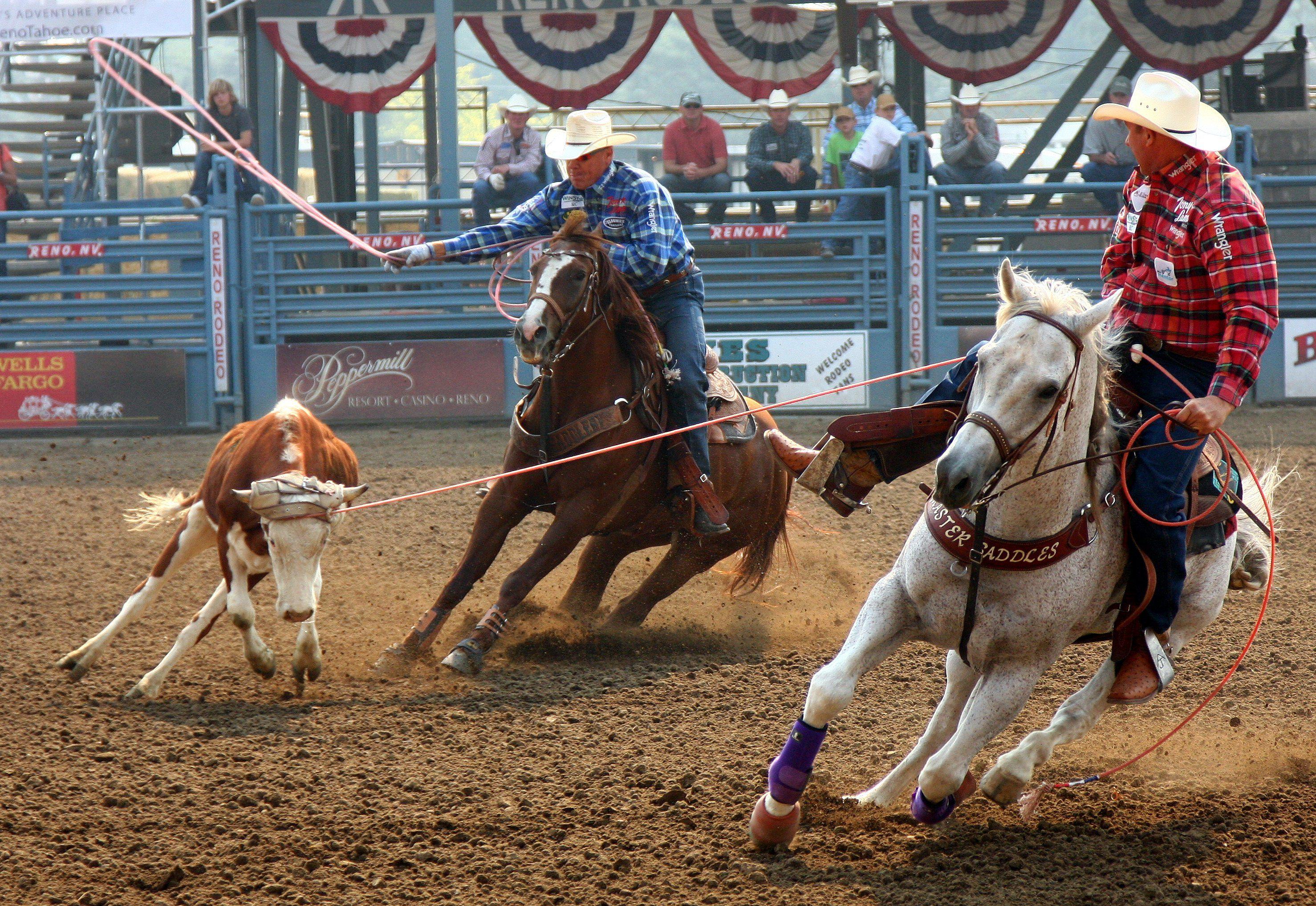 Team Roping Wallpapers Top Free Team Roping Backgrounds WallpaperAccess