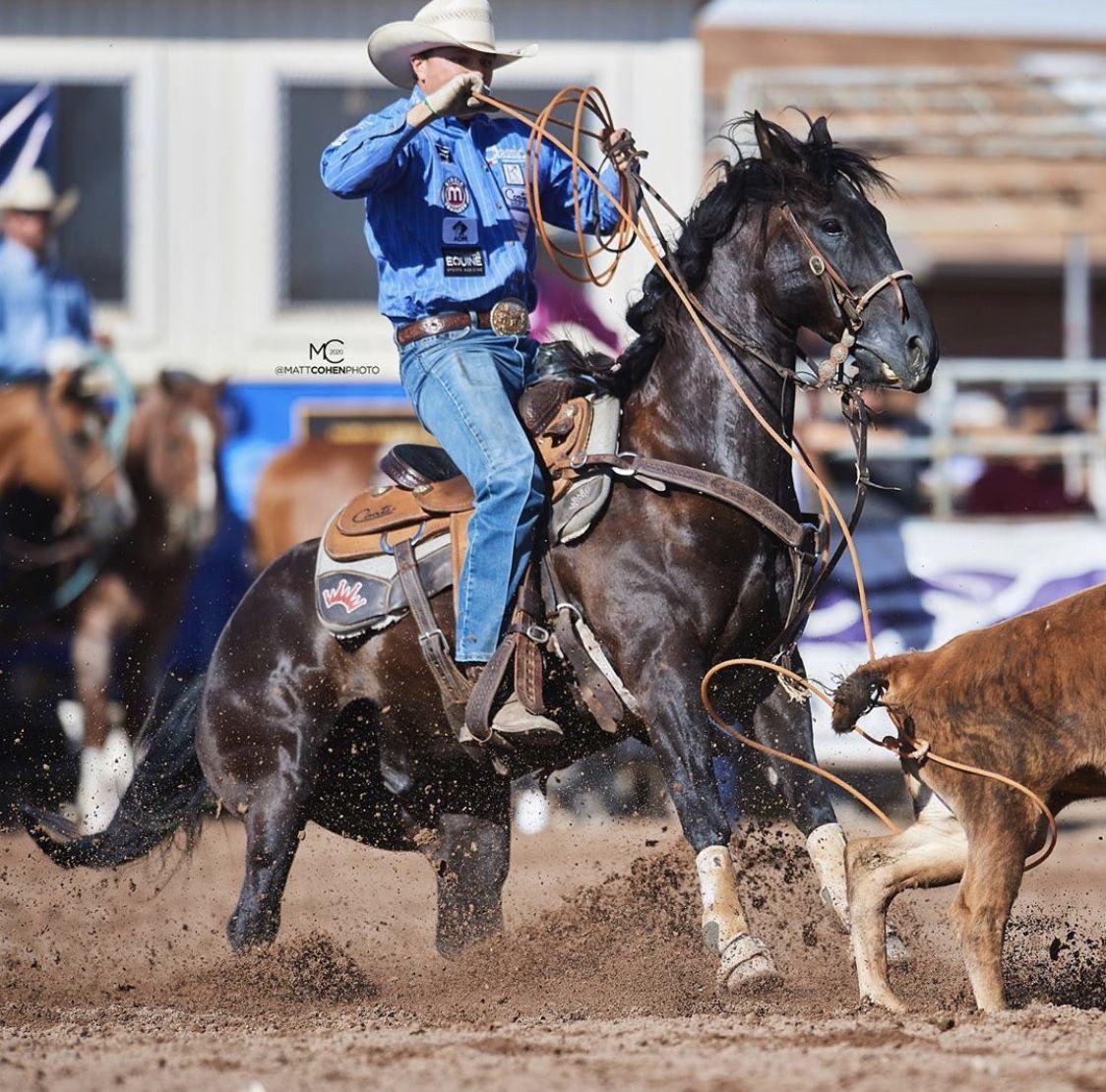 Team Roping Wallpapers - Top Free Team Roping Backgrounds - WallpaperAccess