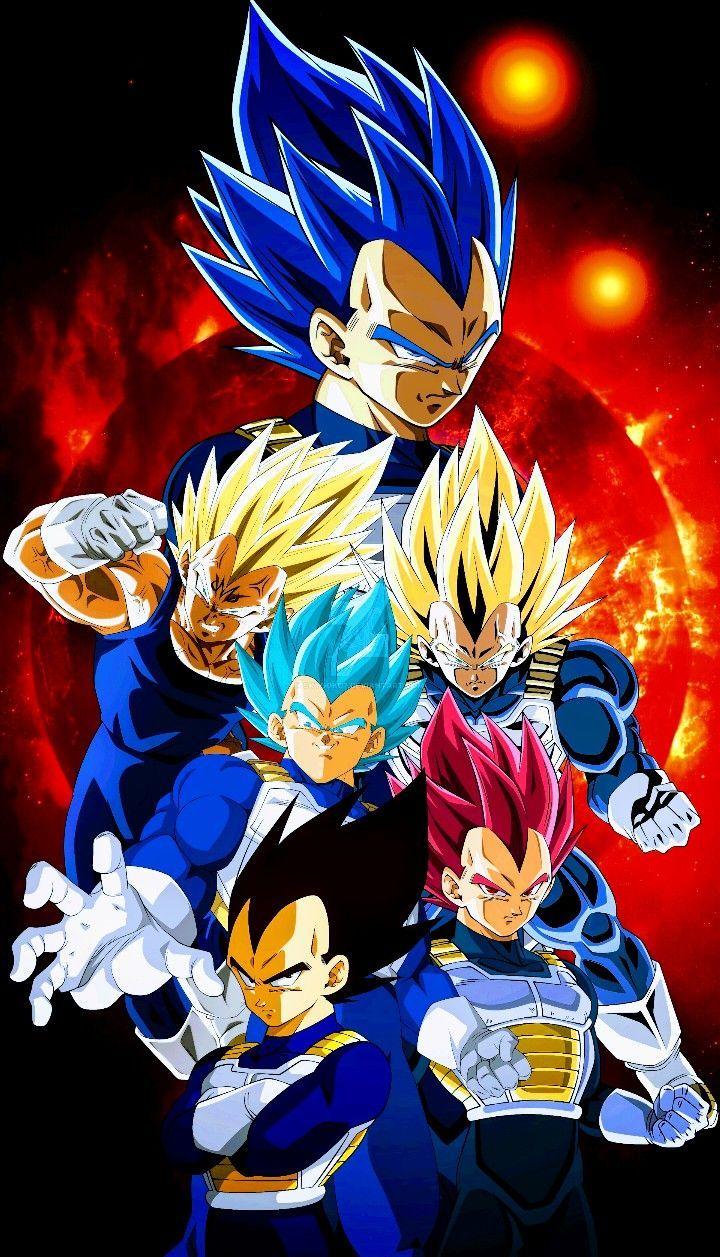 720x1257 Vegeta All Forms Wallpaper
