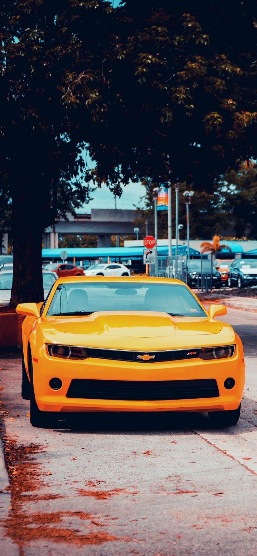 828x1792 Best Camaro 4k Wallpaper for iPhone Free Download 2021