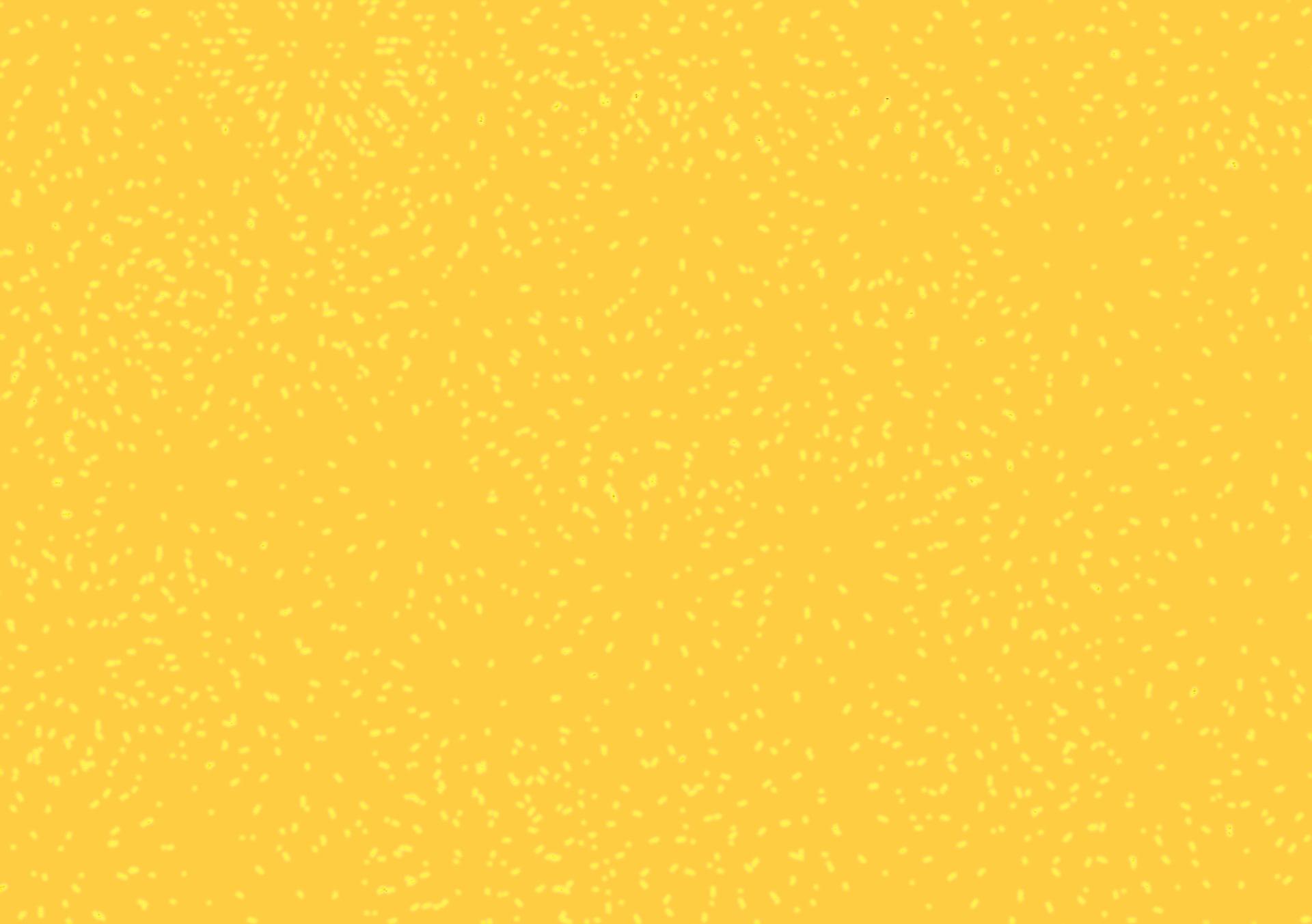 Light Yellow Abstract Wallpapers Top Free Light Yellow Abstract