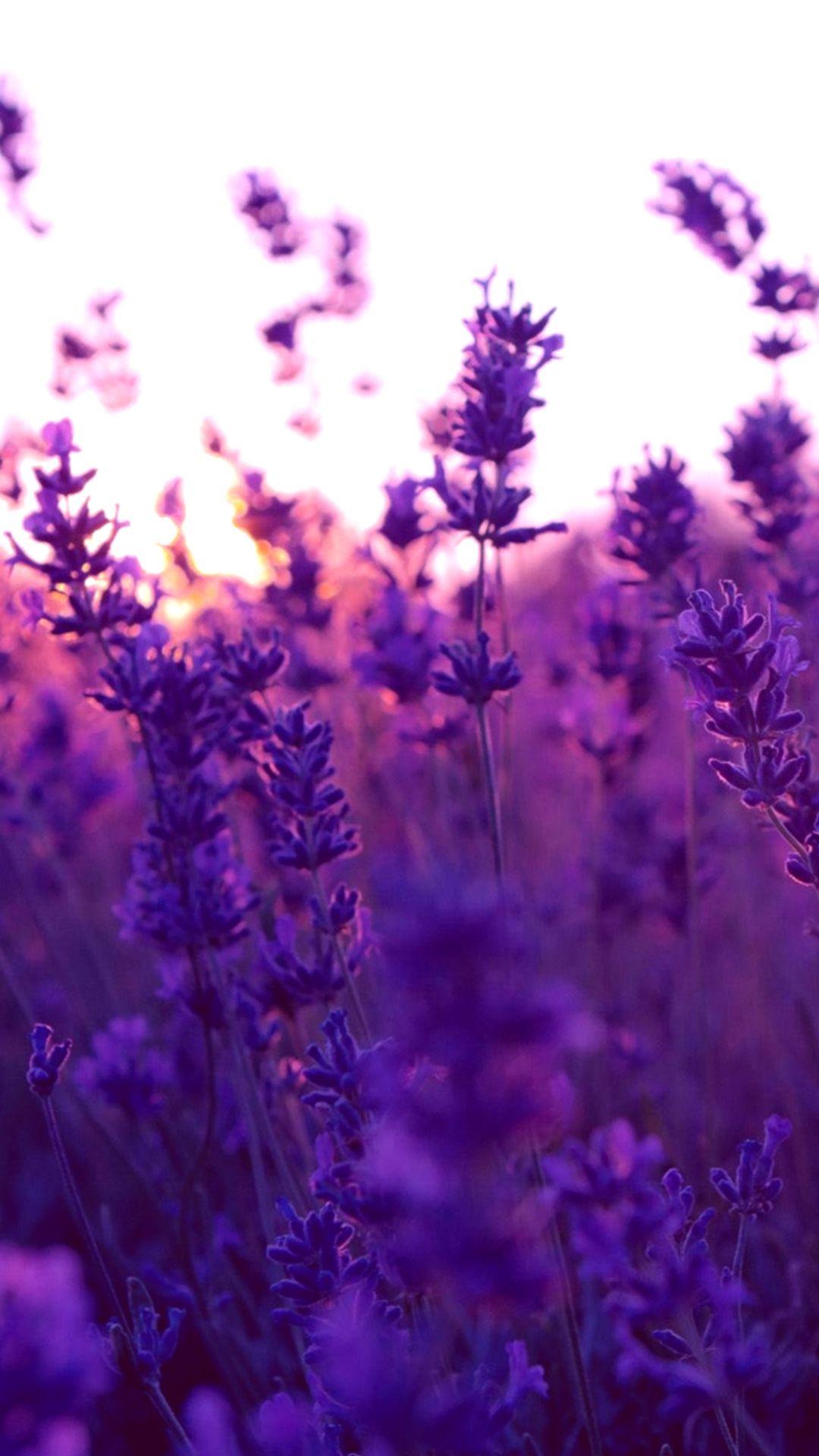 1080x1920 Pinterest Floral Purple Wallpaper