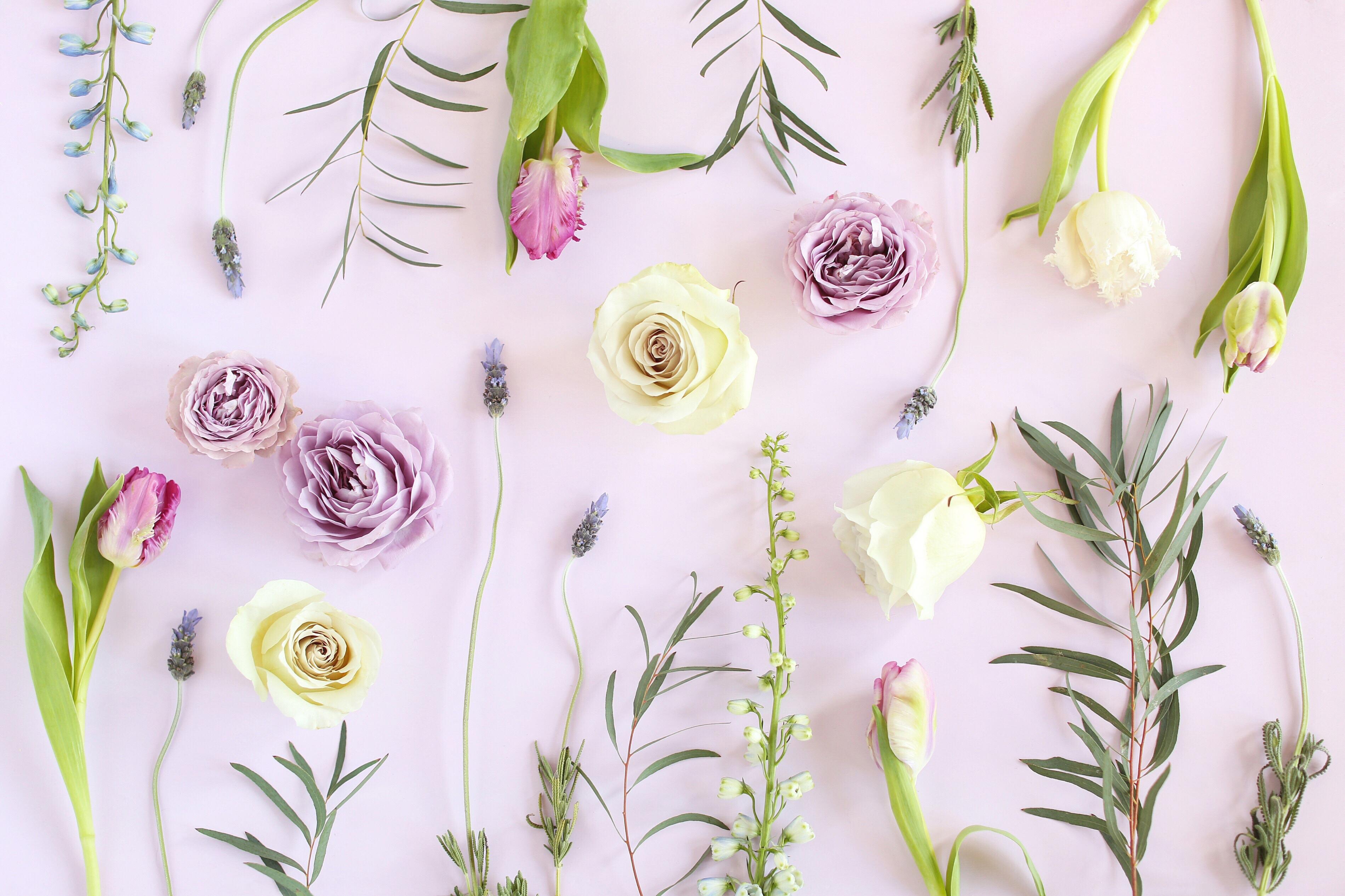 3799x2531 DIGITAL BLOOMS APRIL 2018. FREE DESKTOP WALLPAPERS + DIGITAL BLOOMS TURNS 2!