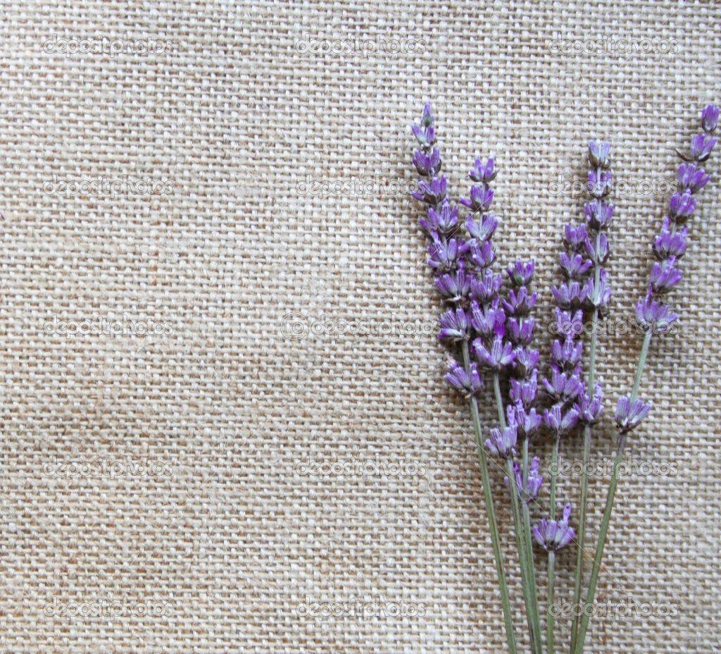 1024x928 Free Lavender Wallpaper