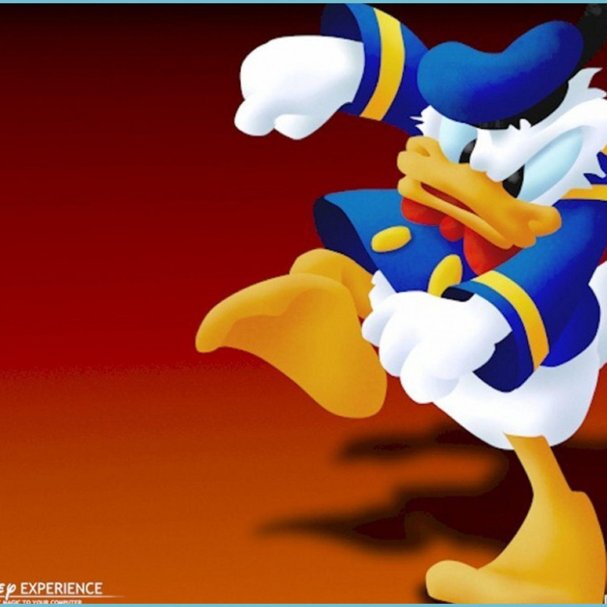 2048x2048 Donald Duck Wallpaper On HipWallpaper Daisy Duck Donald Duck
