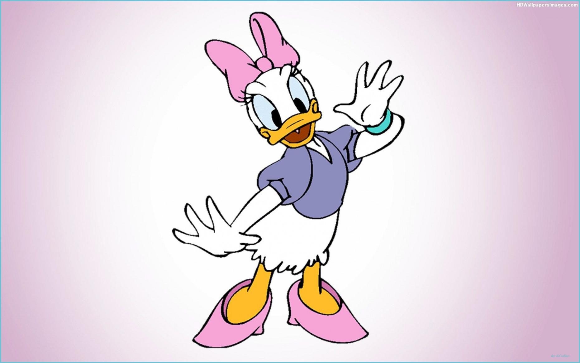 1862x1164 Ten Ways Daisy Duck Wallpaper Can Improve Your Business