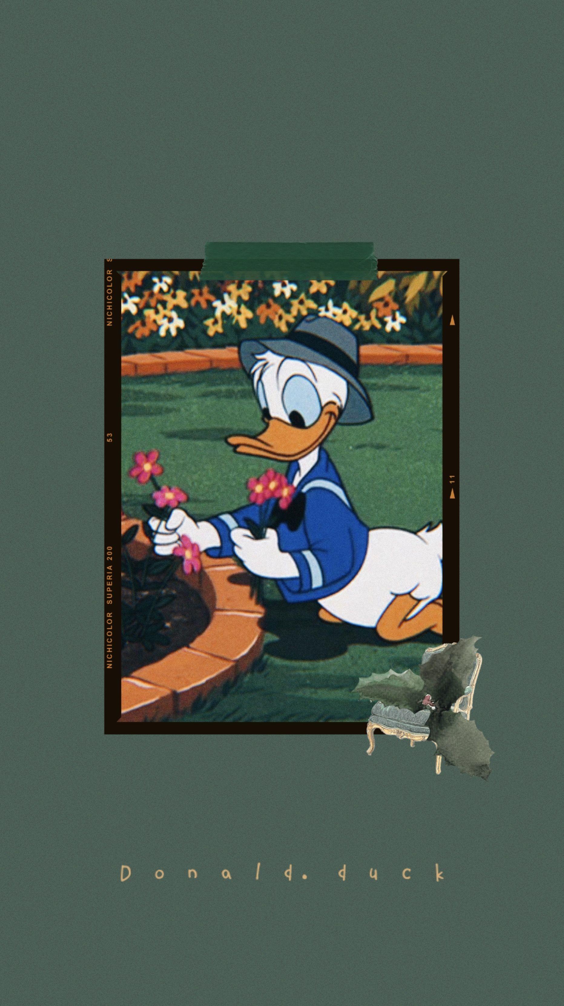 1863x3321 Donald Duck Wallpaper (best Donald Duck Wallpaper and image) on WallpaperChat