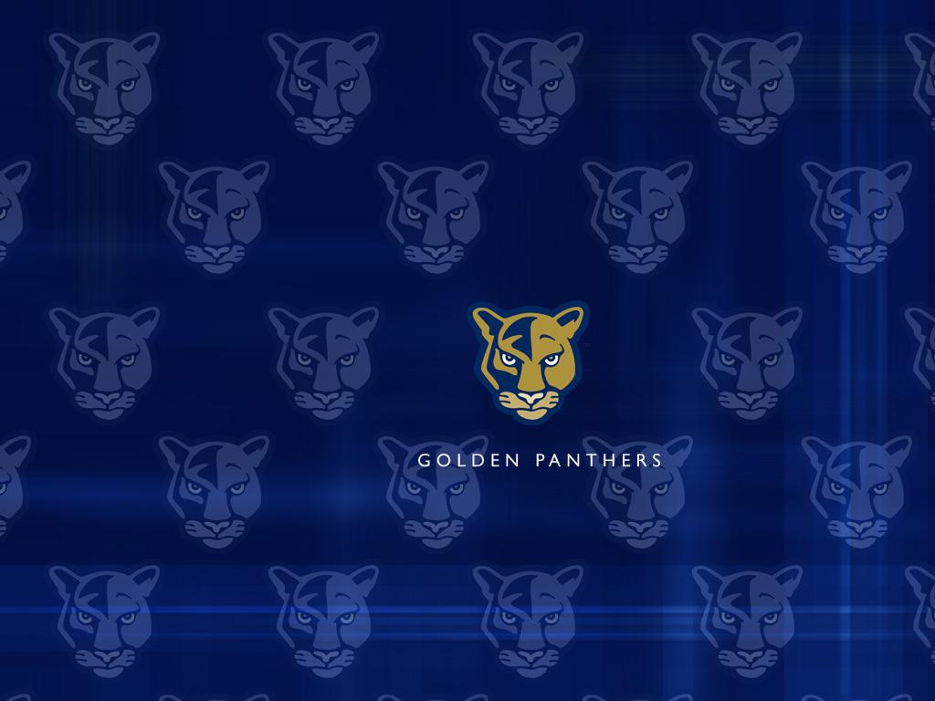 Golden Panther Wallpapers - Top Free Golden Panther Backgrounds
