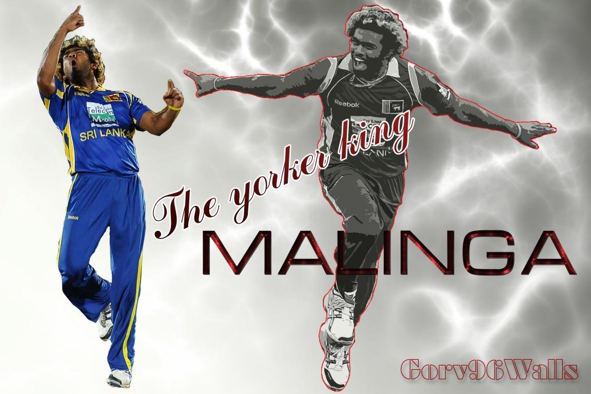 1152x768 Cricket wallpaper HD for desktop background
