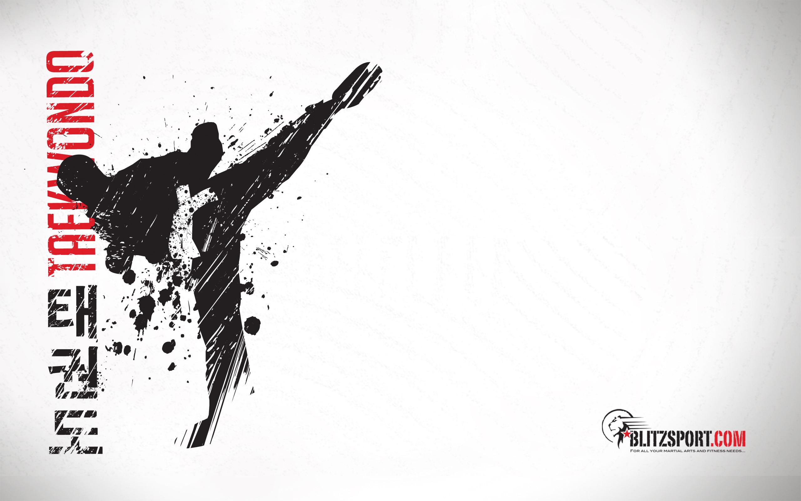 2560x1600 Taekwondo Wallpaper