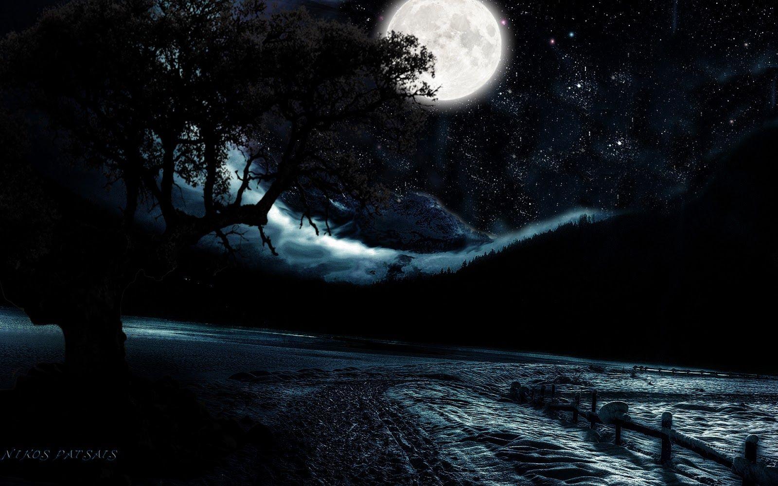 1600x1000 Moonlight Background with Trees. Trees