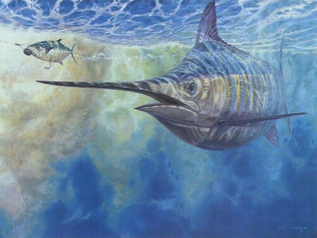 1024x768 Cool Fishing Wallpaper Saltwater