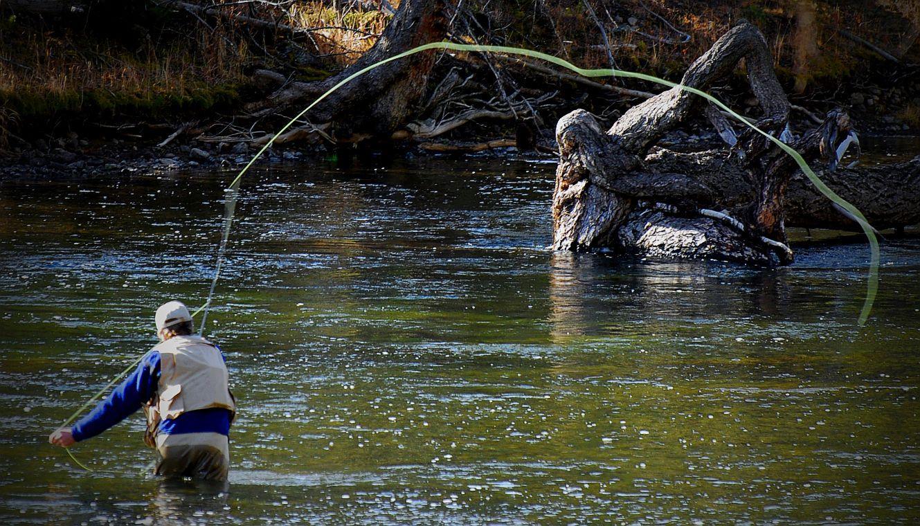 1329x760 Fly Fishing Phone Wallpaper