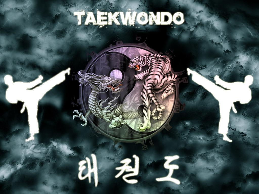 Taekwondo Kick Wallpapers - Top Free Taekwondo Kick Backgrounds
