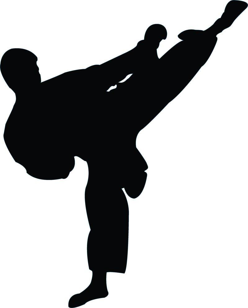 800x994 Taekwondo Wallpaper Free Download