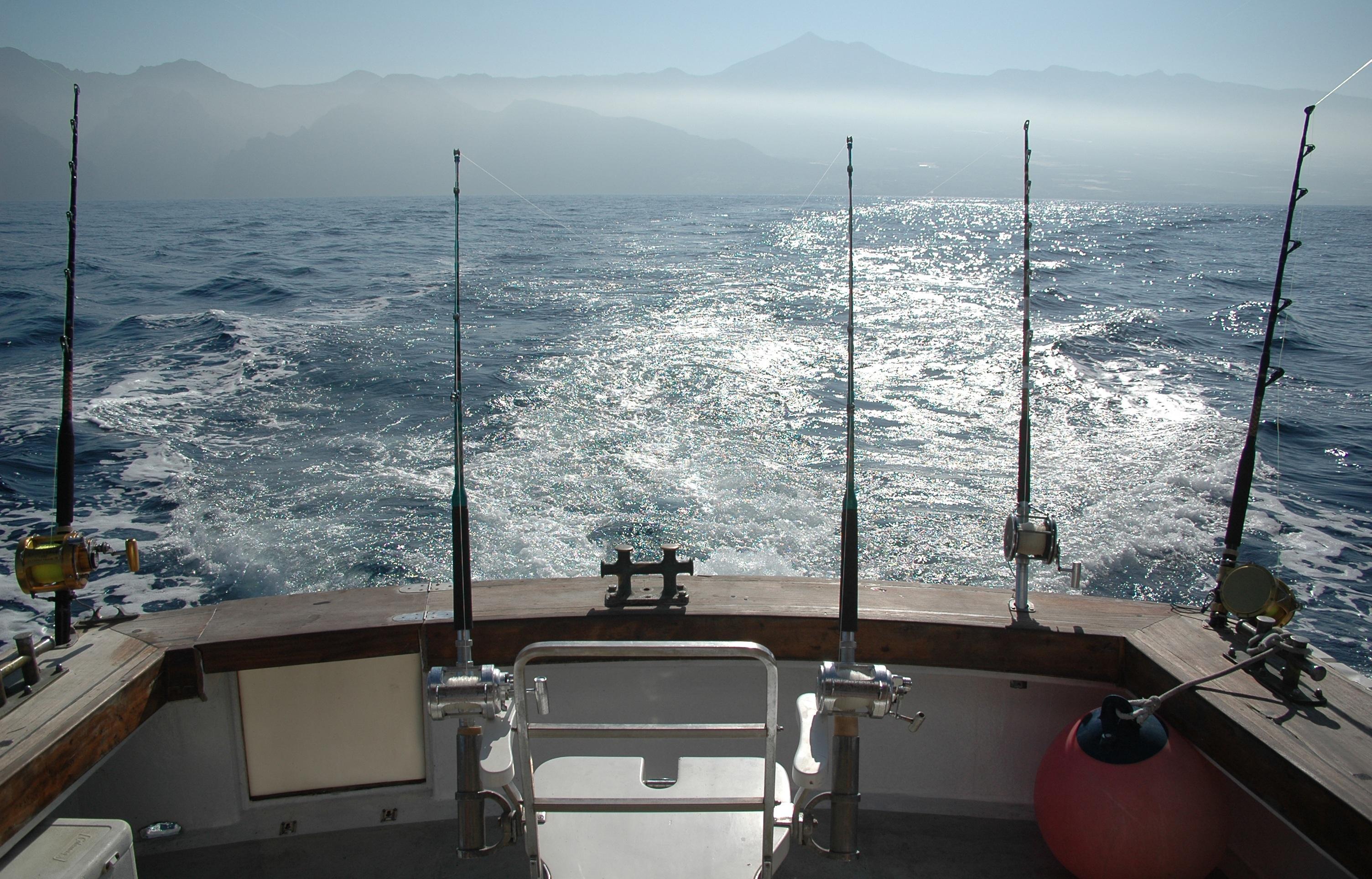 3008x1928 Deep sea fishing rods HD Wallpaper