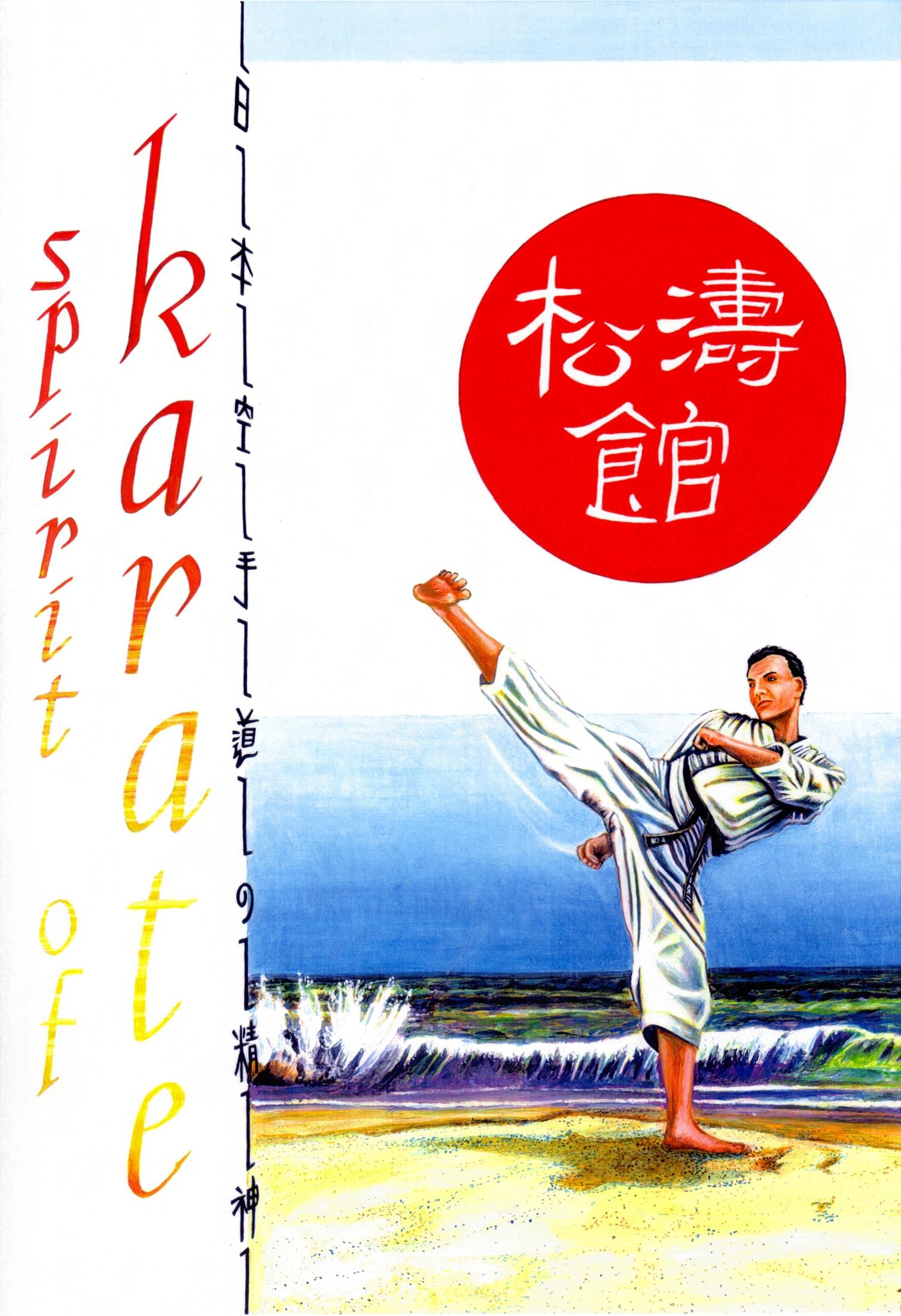 1506x2200 Karate Figher doing a high kick image Domain photo