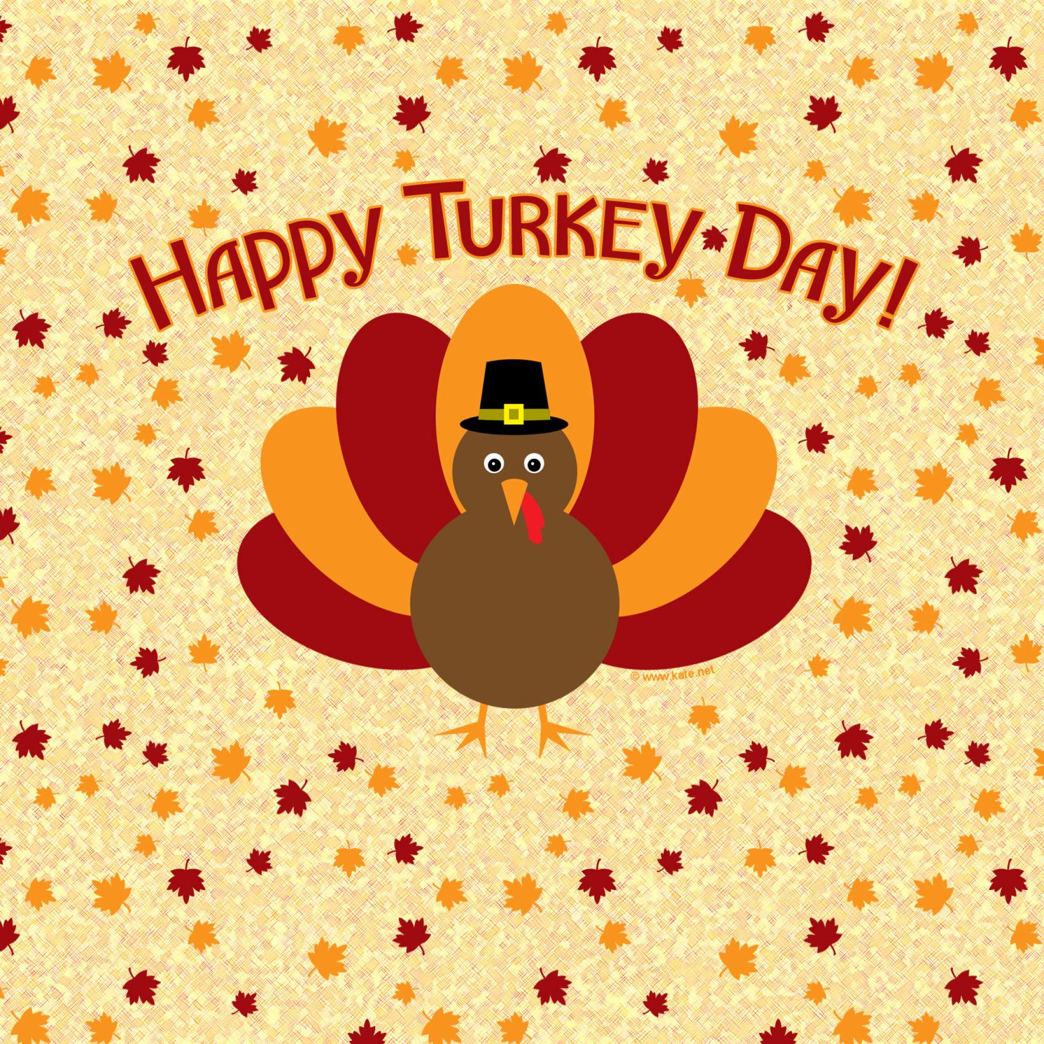 2048x2048 Animated GIFs, Greetings & Messages