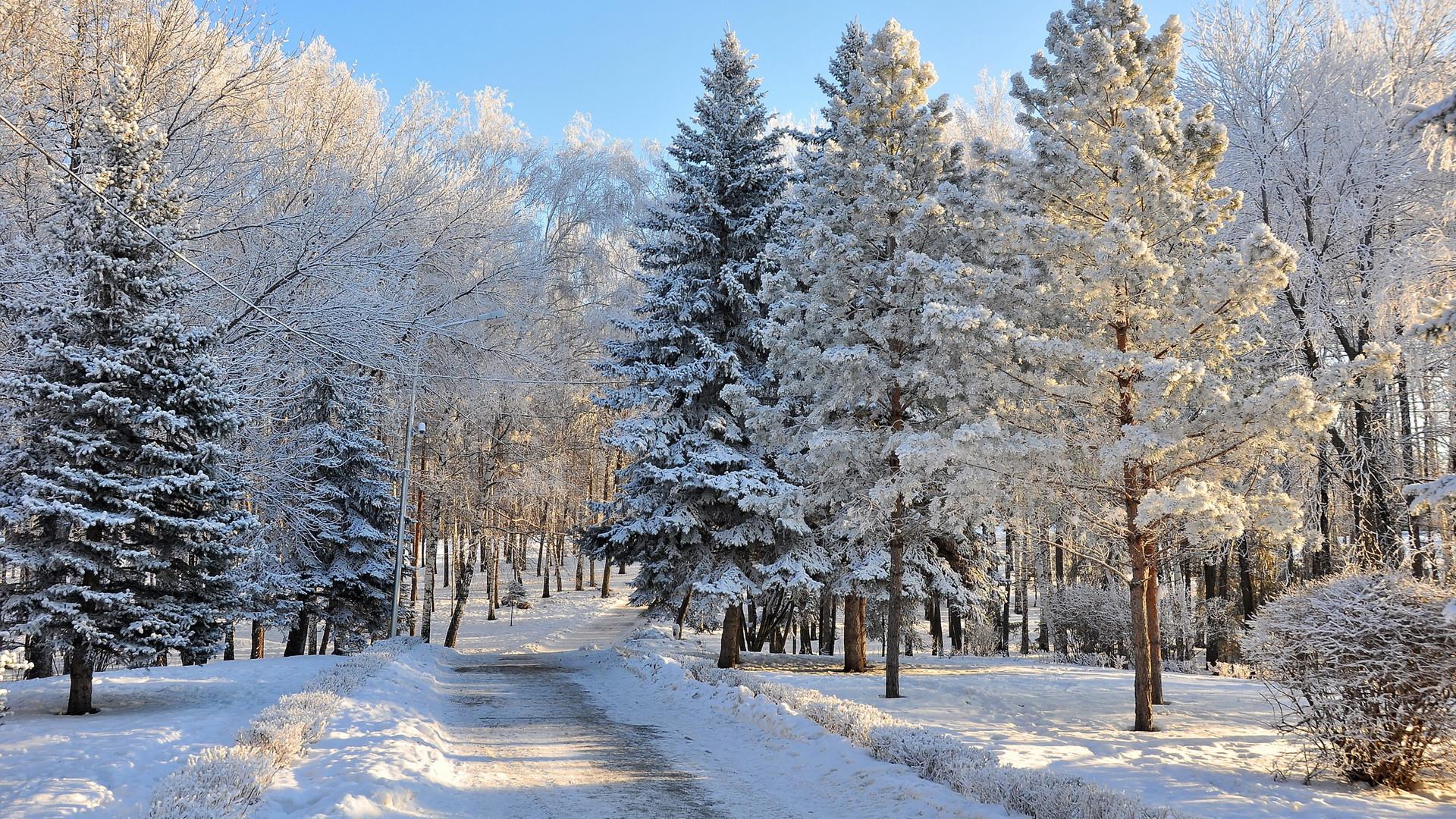 1920x1080 Winter Wallpaper HD