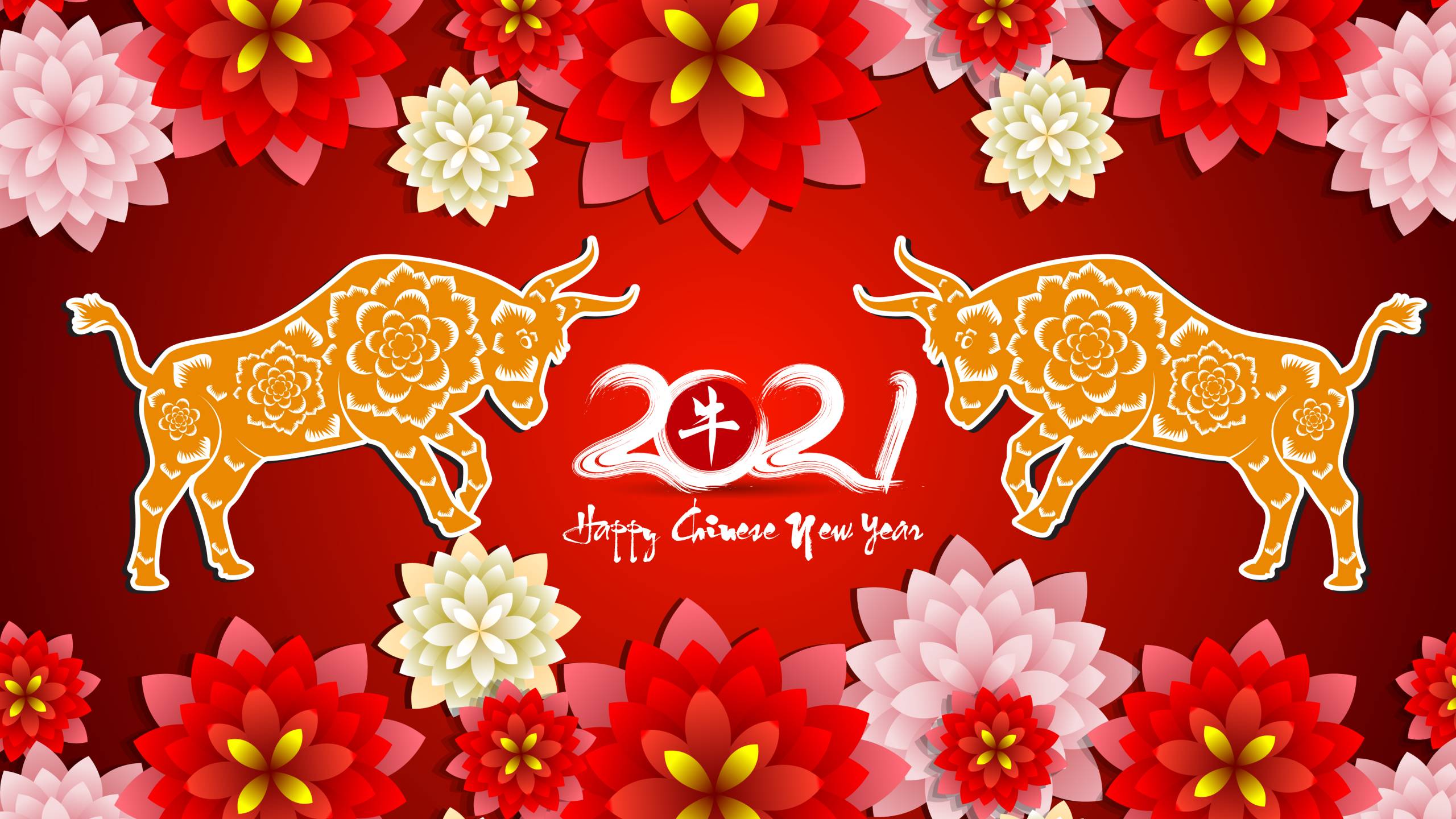 Lunar New Year Wallpapers Top Free Lunar New Year Backgrounds