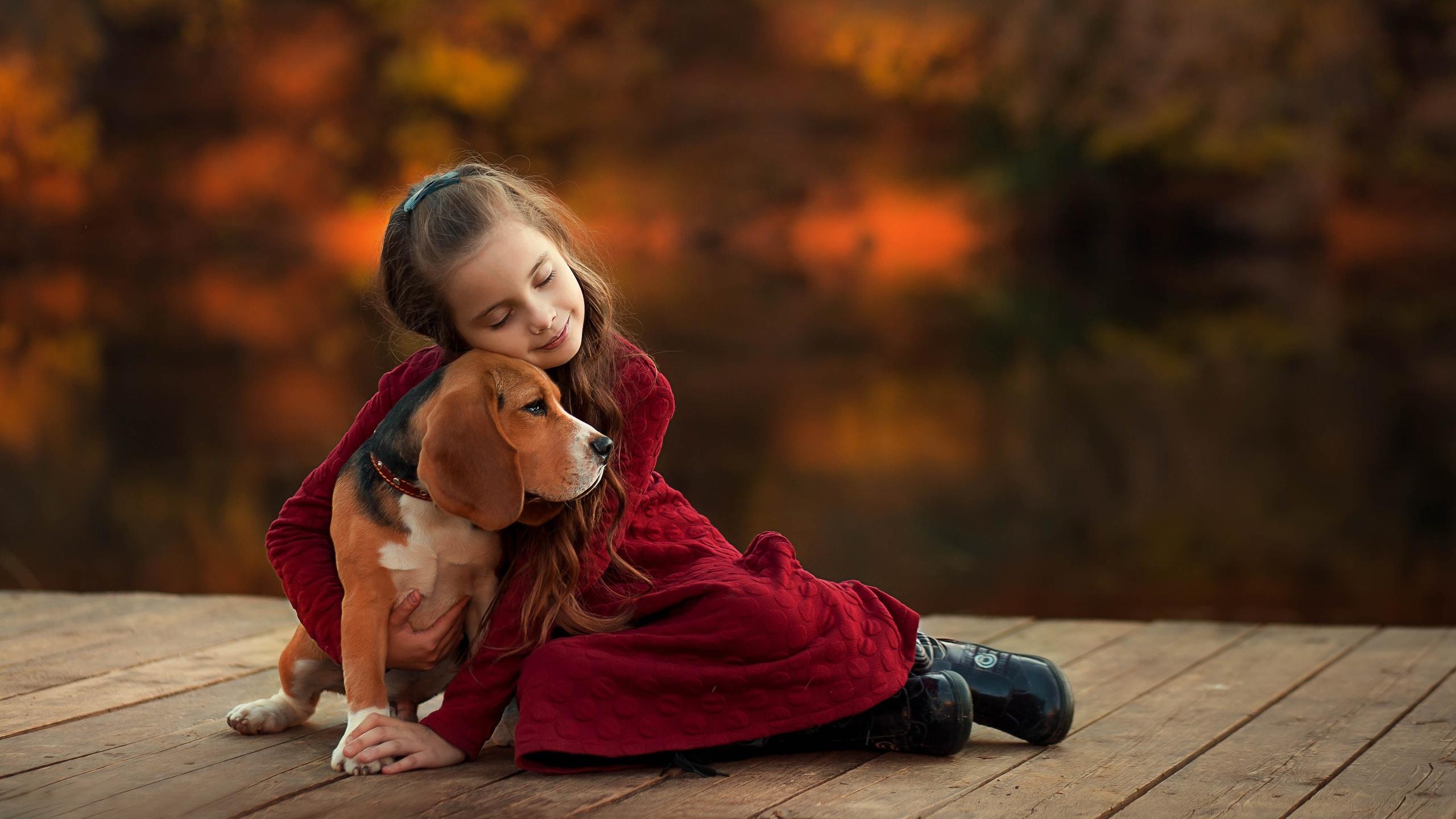 2560x1440 image Beagle Little girls Dogs Ekaterina Borisova 2560x1440