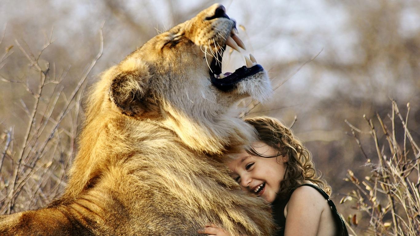 1366x768 Little Girl Hugs Lion Roaring Cute 4k 1366x768 Resolution HD 4k Wallpaper, Image, Background, Photo and Picture