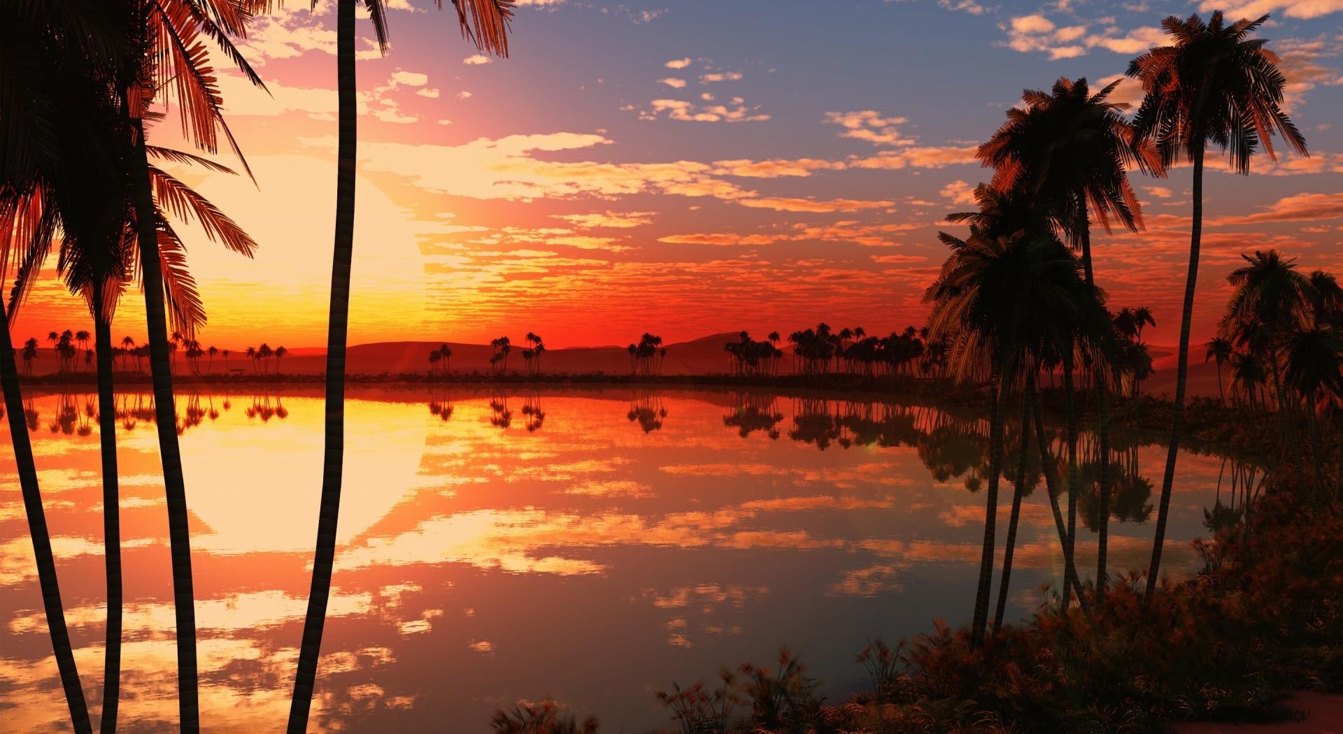 1920x1050 Download 1920x1050 Sunset, Lake, Tree Wallpaper