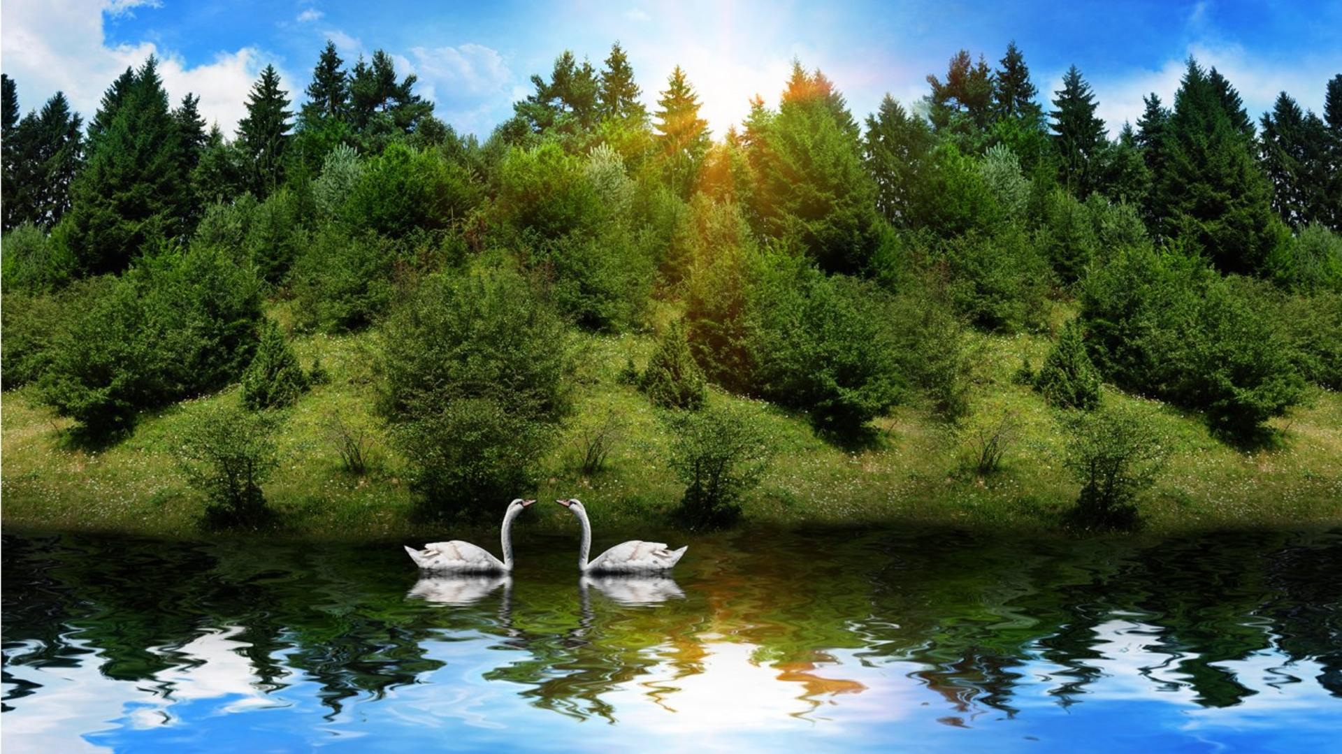 1920x1079 Free download Cool Nature Background Image [1920x1079] for your Desktop, Mobile & Tablet. Explore Nature Background Image. Wallpaper Background Image