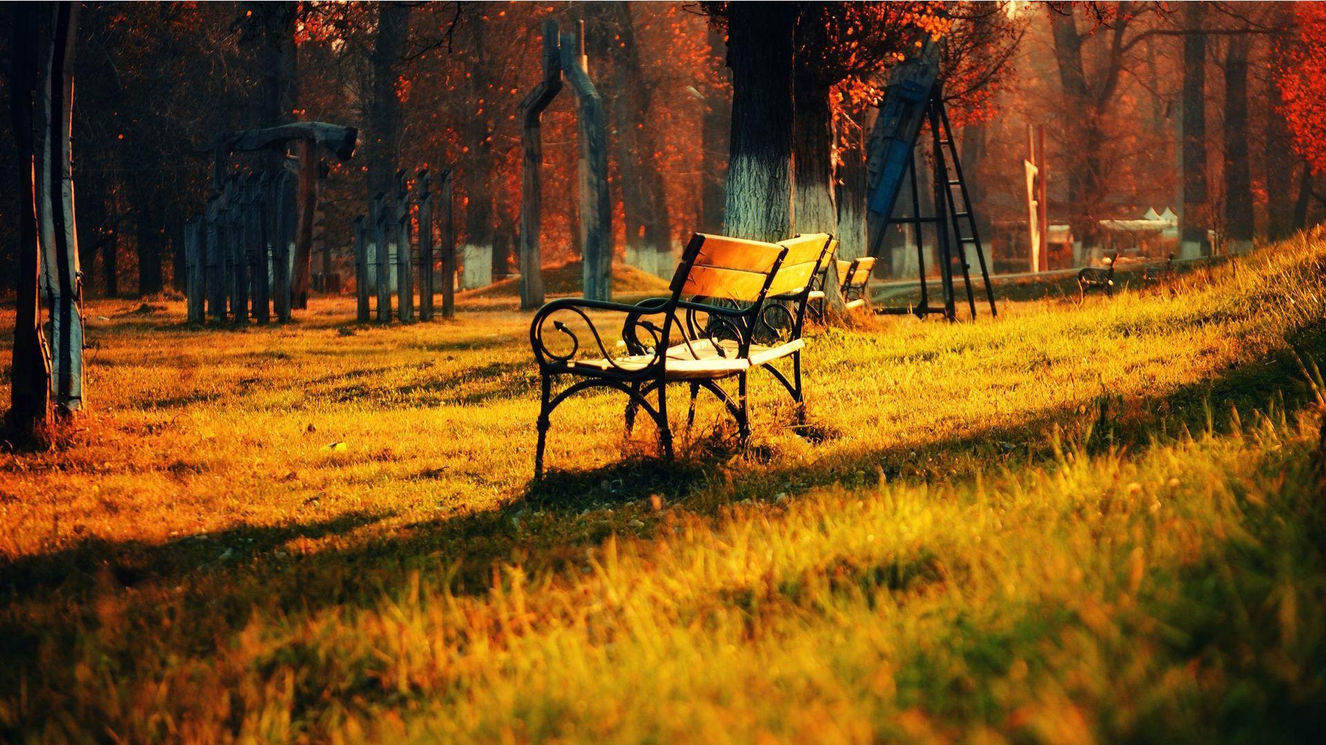 1920x1079 Background Wallpaper HD Download Widescreen Nature Background