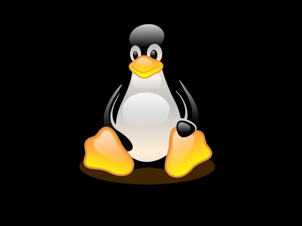 1024x768 Tux Penguin Wallpaper