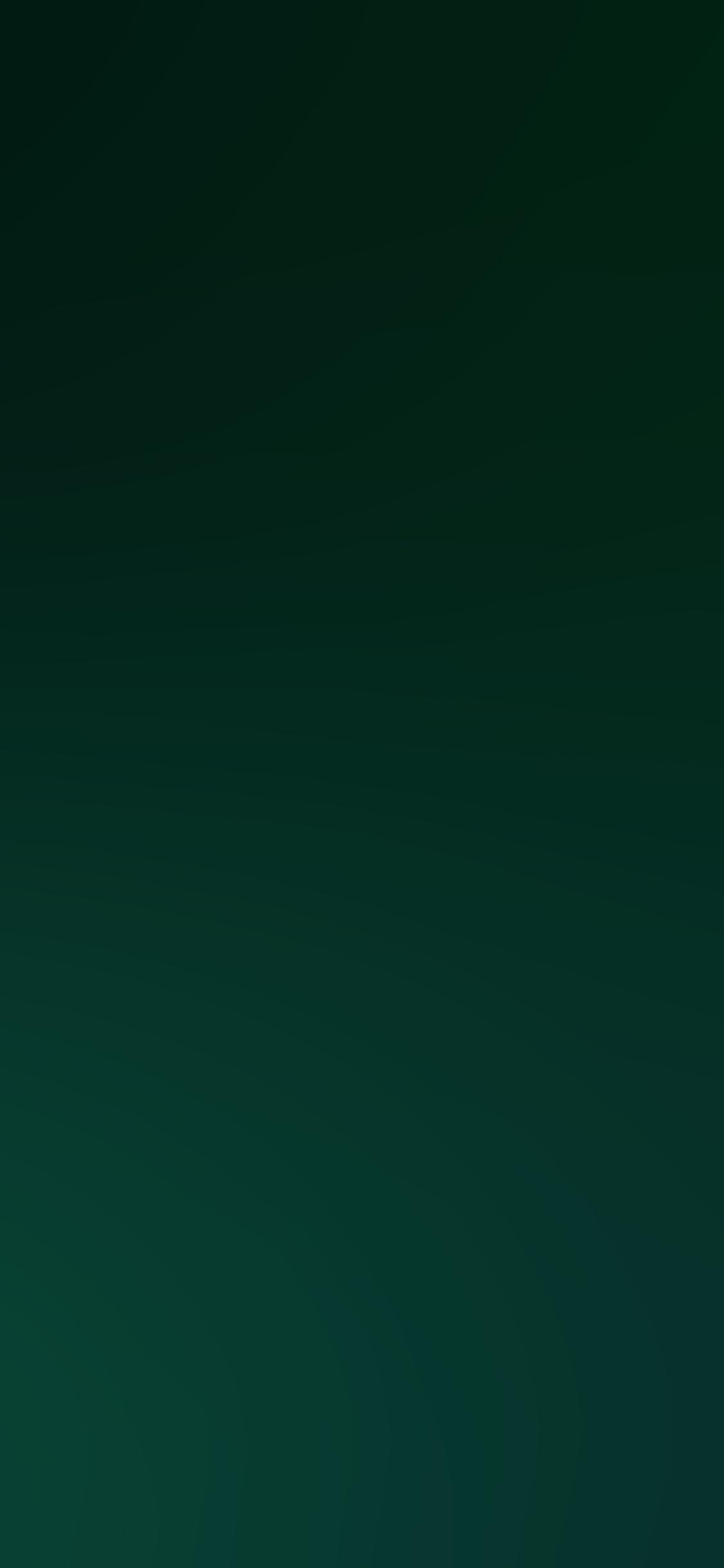 1125x2436 iPhone wallpaper. dark green blur gradation