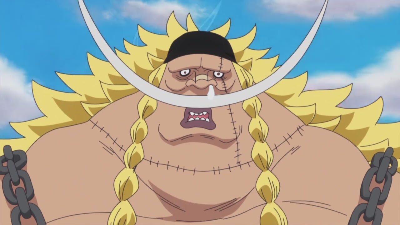 1280x720 WHERE'S MARCO? NEKOMAMUSHI'S TRIALS BEFORE WANO