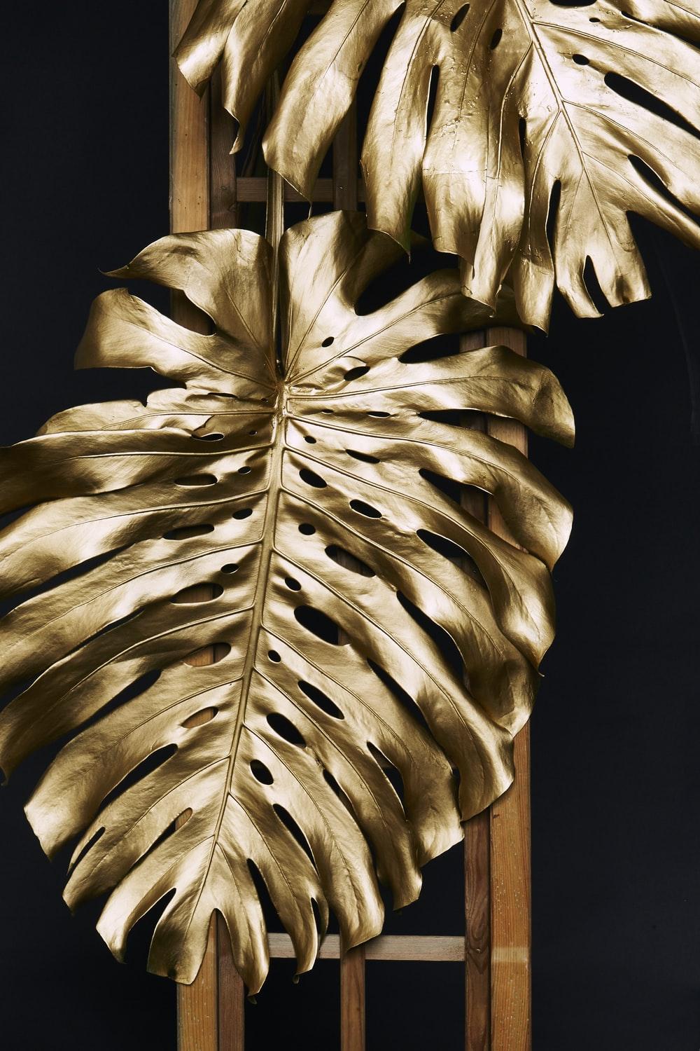 1000x1500 Gold Wallpaper: Free HD Download [HQ]
