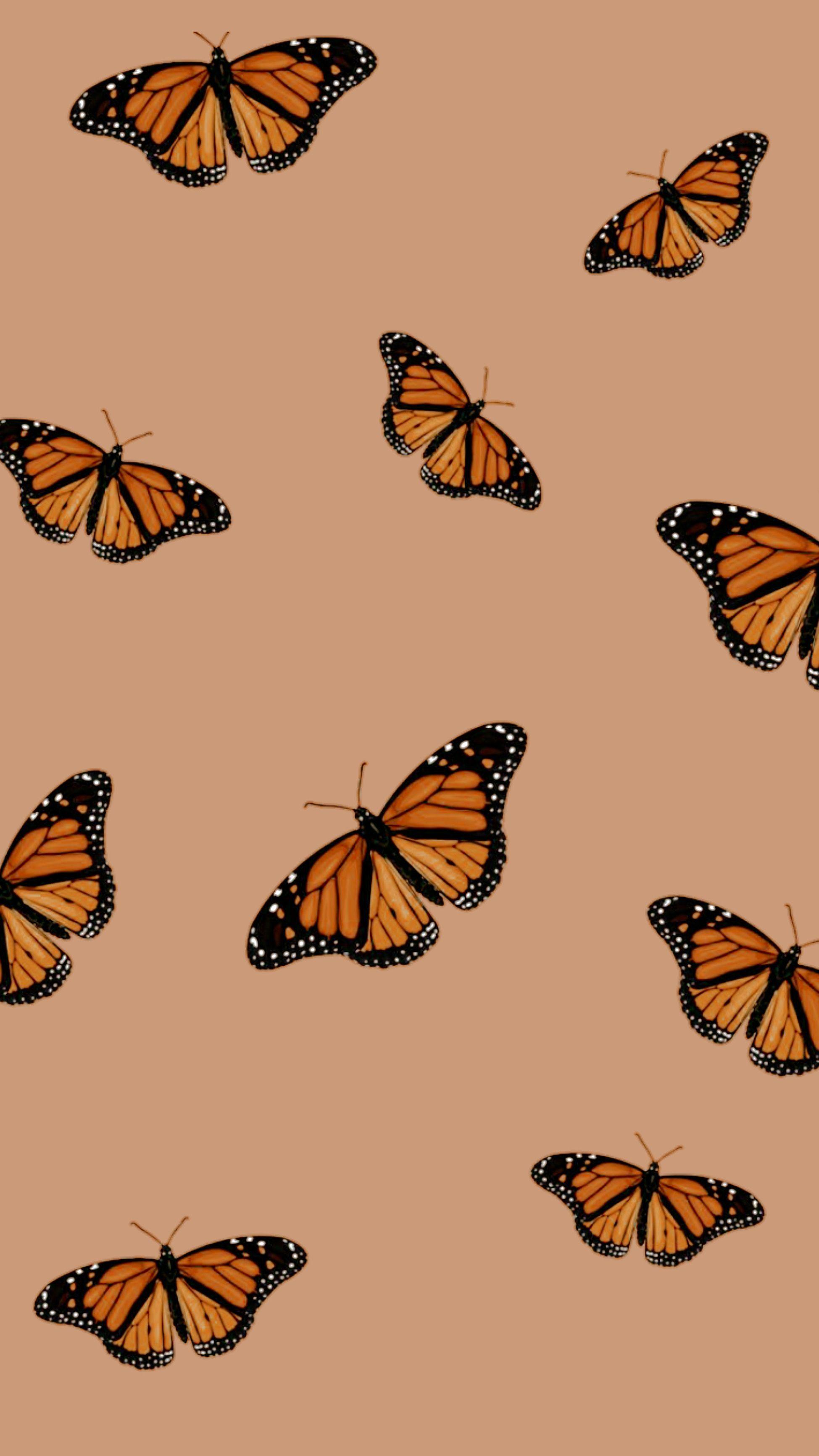 1949x3463 Cute Aesthetic Butterflies Wallpaper